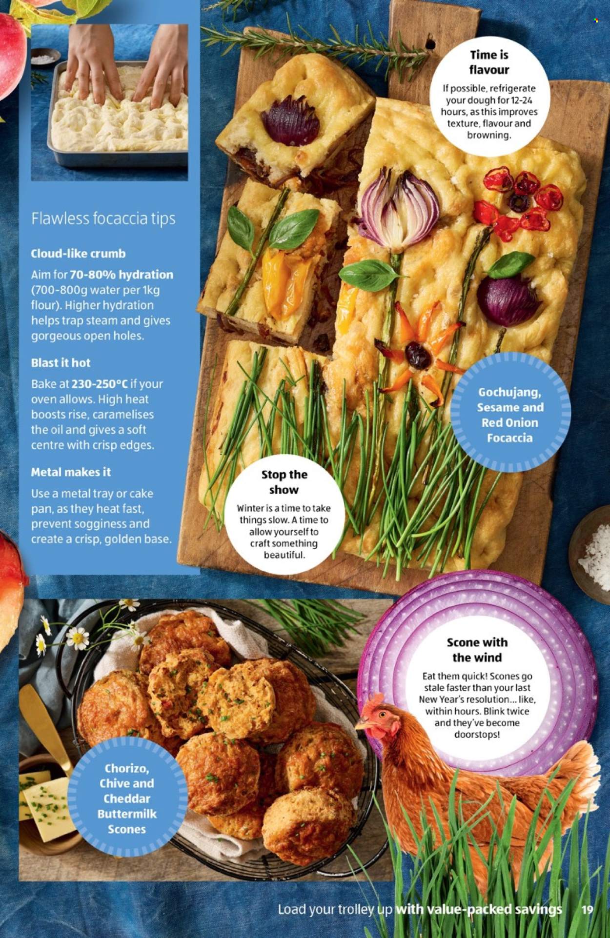 ALDI catalogue - 10 Jun 2026 - 16 Jun 2026. Page 19