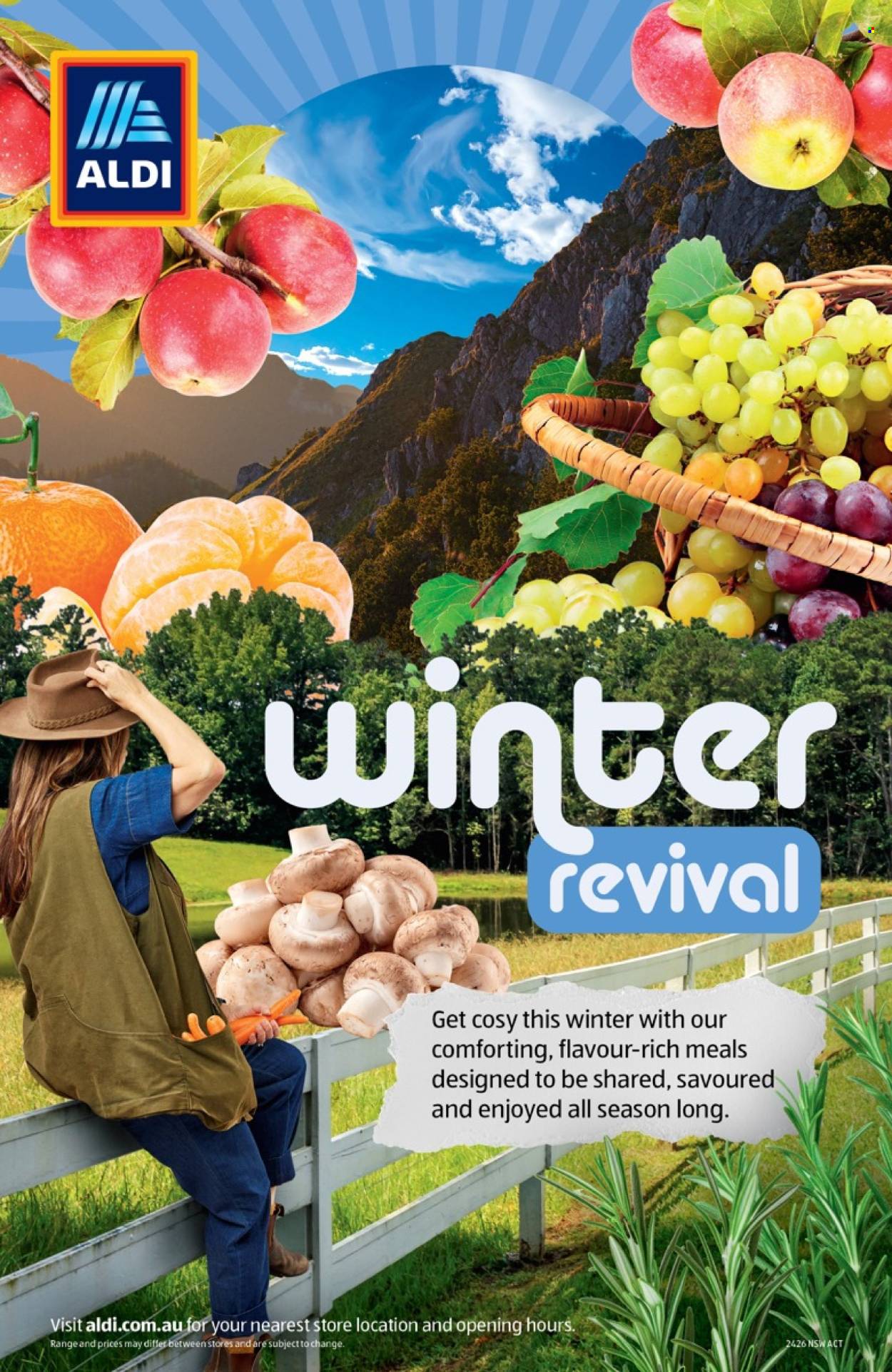 ALDI catalogue - 1 Jun 2026 - 31 Aug 2026. Page 1