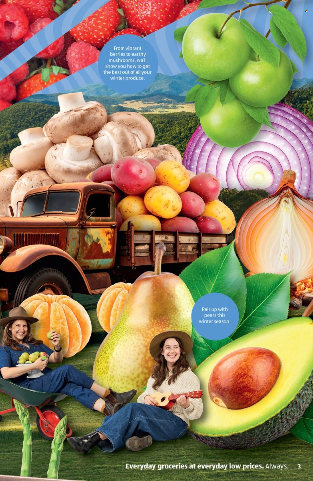 ALDI catalogue - 1 Jun 2026 - 31 Aug 2026. Page 3