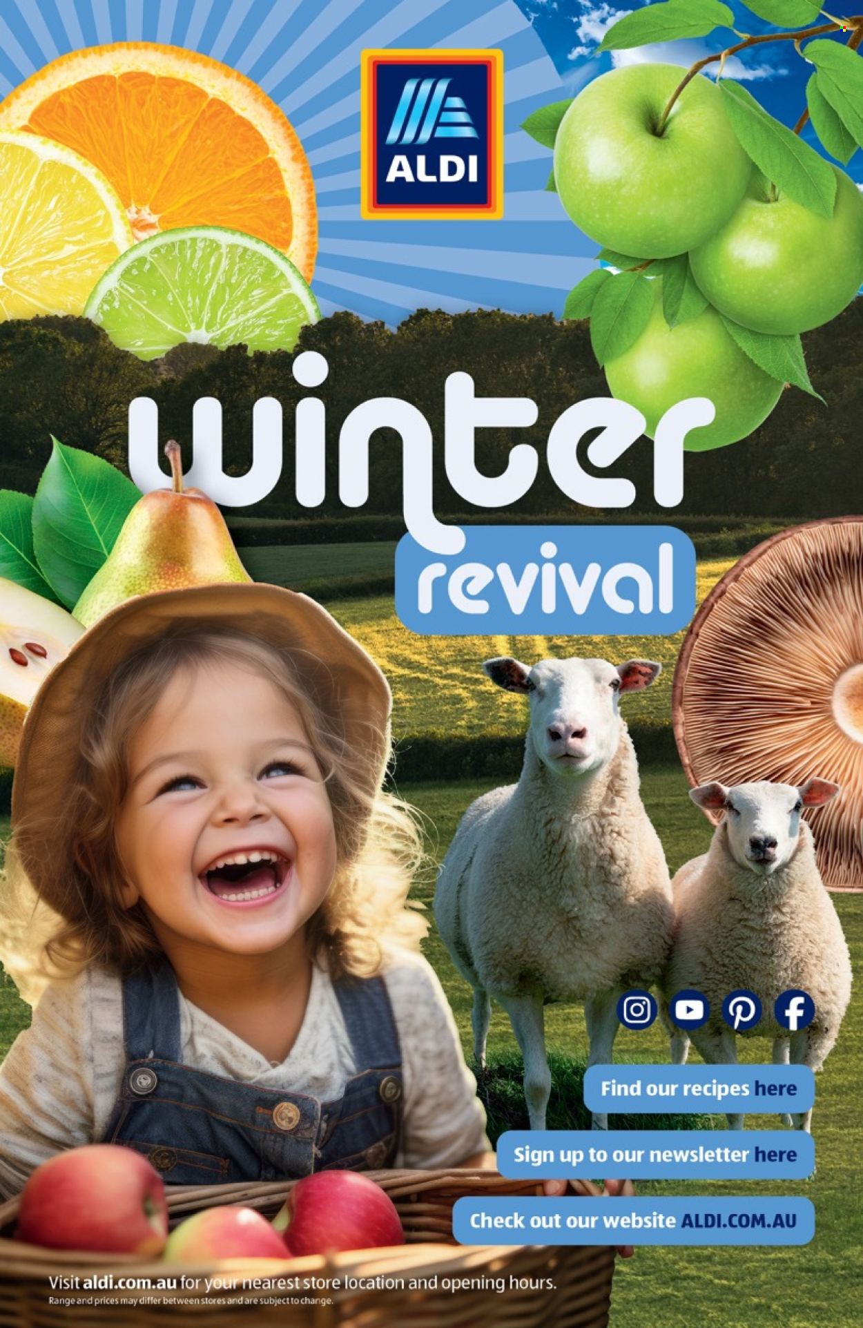 ALDI catalogue - 1 Jun 2026 - 31 Aug 2026. Page 10