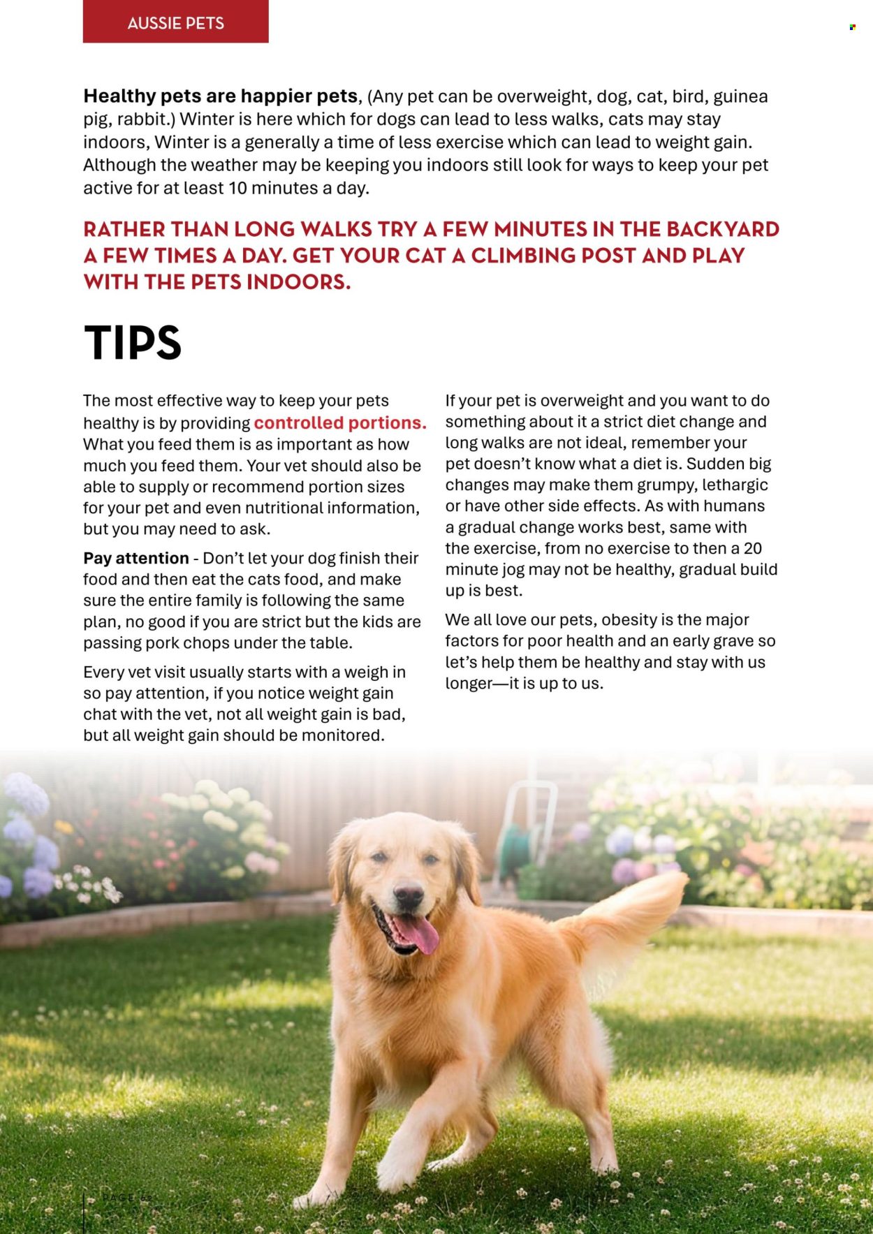 Drakes catalogue - 1 Jun 2026 - 31 Jul 2026. Page 62