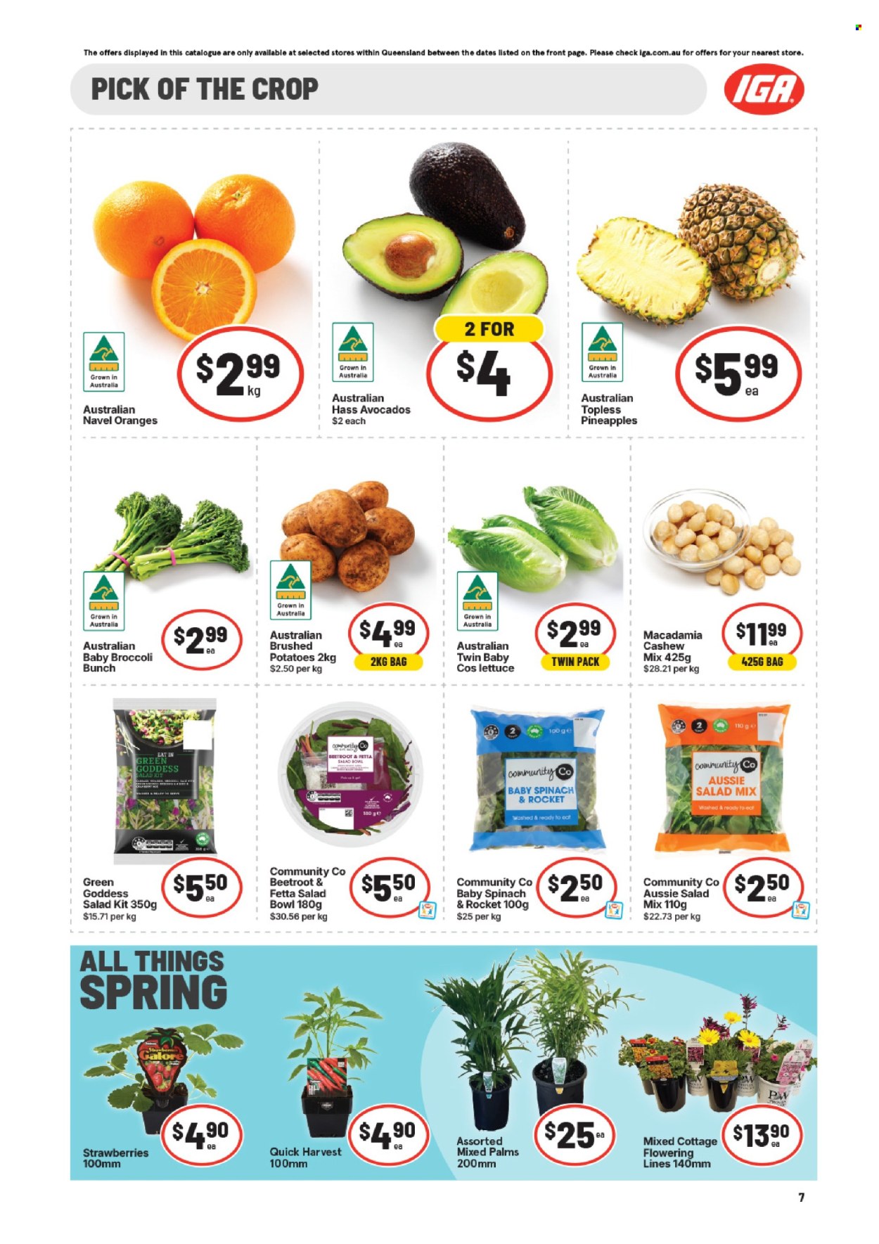 IGA catalogue - 2 Sep 2026 - 8 Sep 2026. Page 14