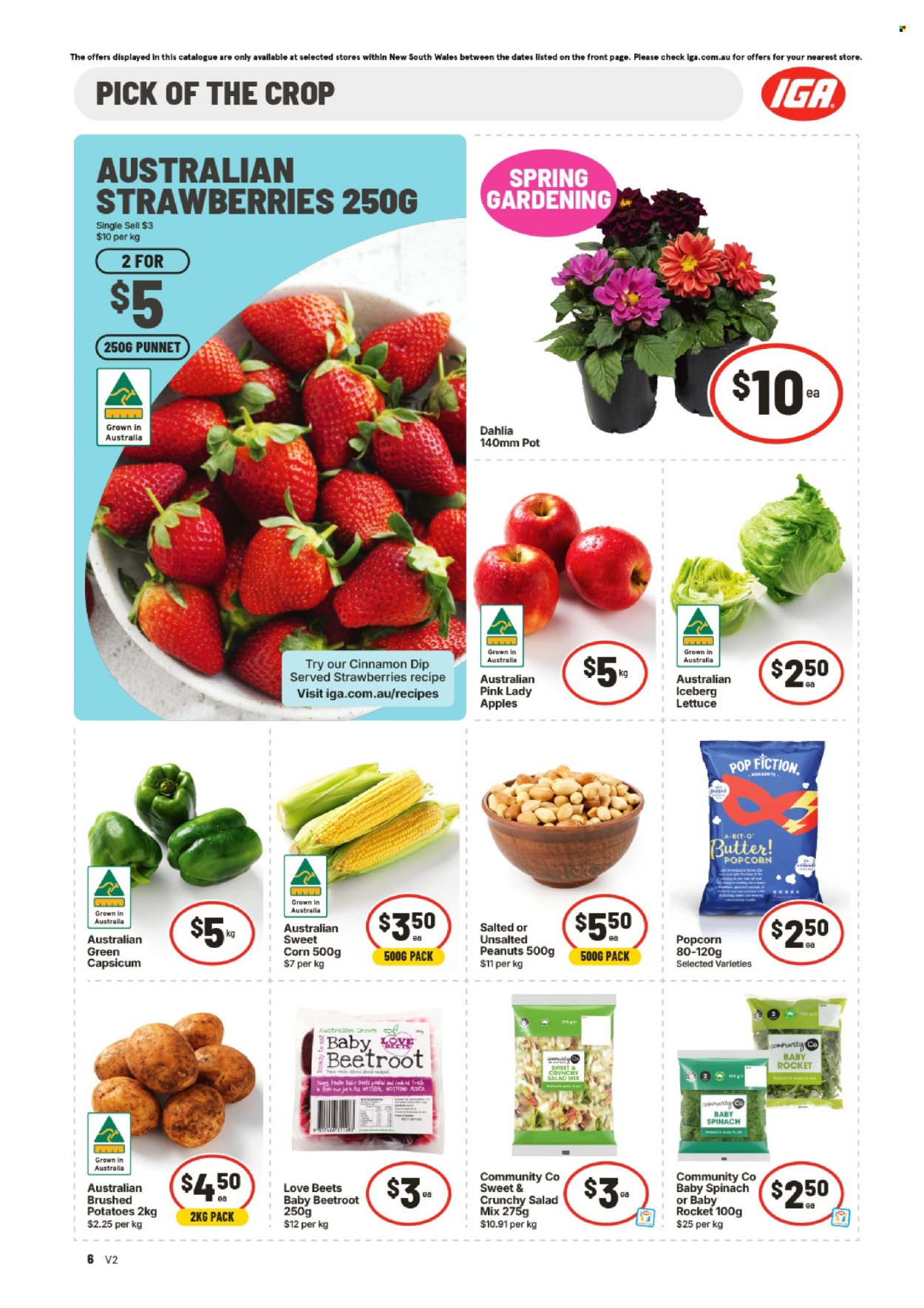 IGA catalogue - 9 Sep 2026 - 15 Sep 2026. Page 7
