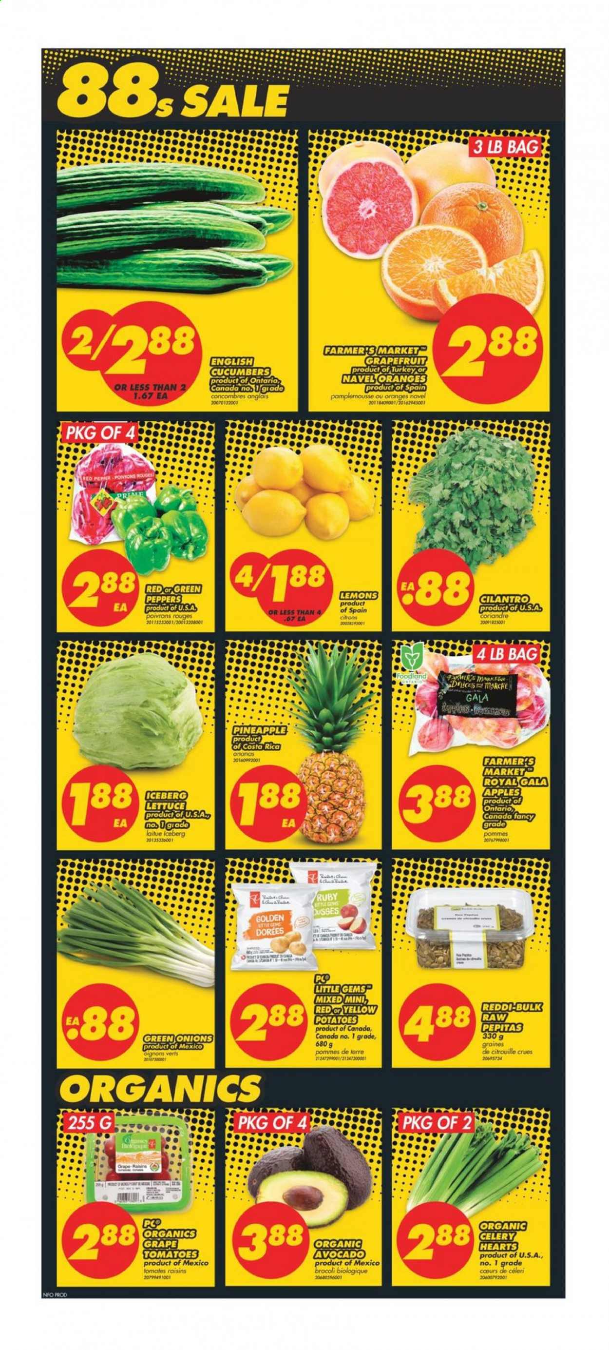 thumbnail - No Frills Flyer - January 07, 2021 - January 13, 2021 - Sales products - celery, cucumber, tomatoes, potatoes, lettuce, peppers, green onion, sleeved celery, apples, avocado, Gala, grapefruits, pineapple, lemons, navel oranges, cilantro, dried fruit, raisins. Page 3.