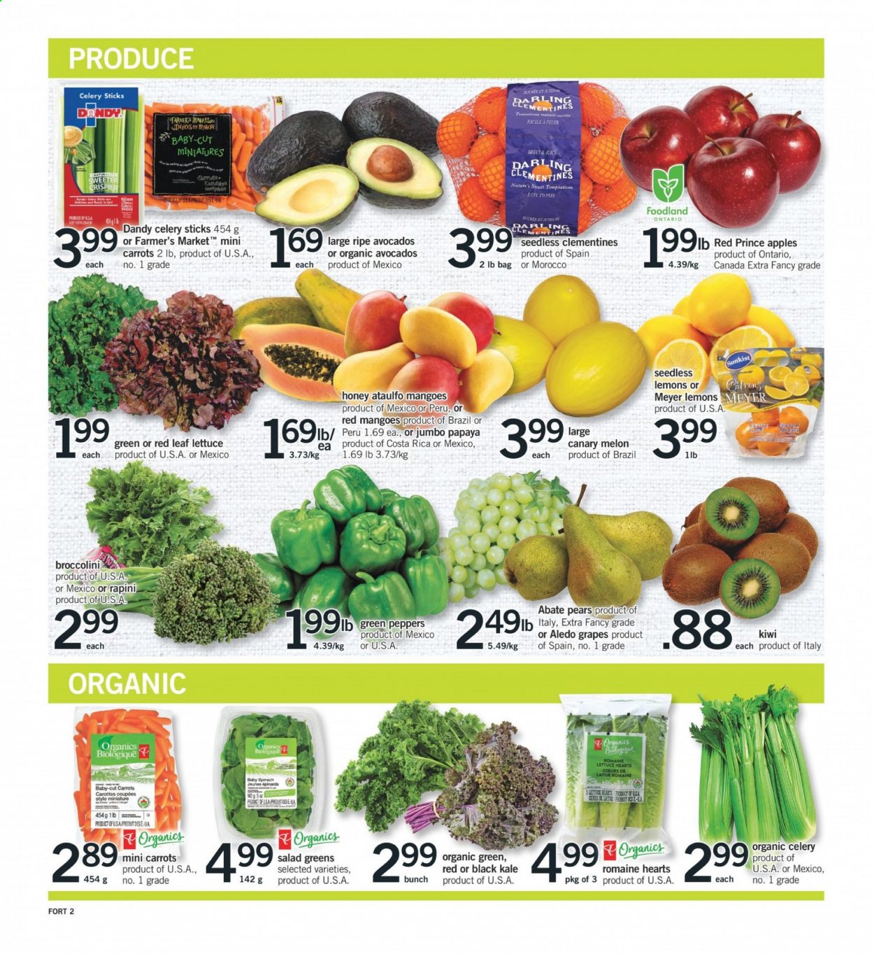 thumbnail - Fortinos Flyer - January 07, 2021 - January 13, 2021 - Sales products - carrots, spinach, kale, lettuce, salad, salad greens, peppers, broccolini, apples, avocado, clementines, grapes, papaya, pears, melons, lemons, celery sticks, bag, kiwi. Page 3.