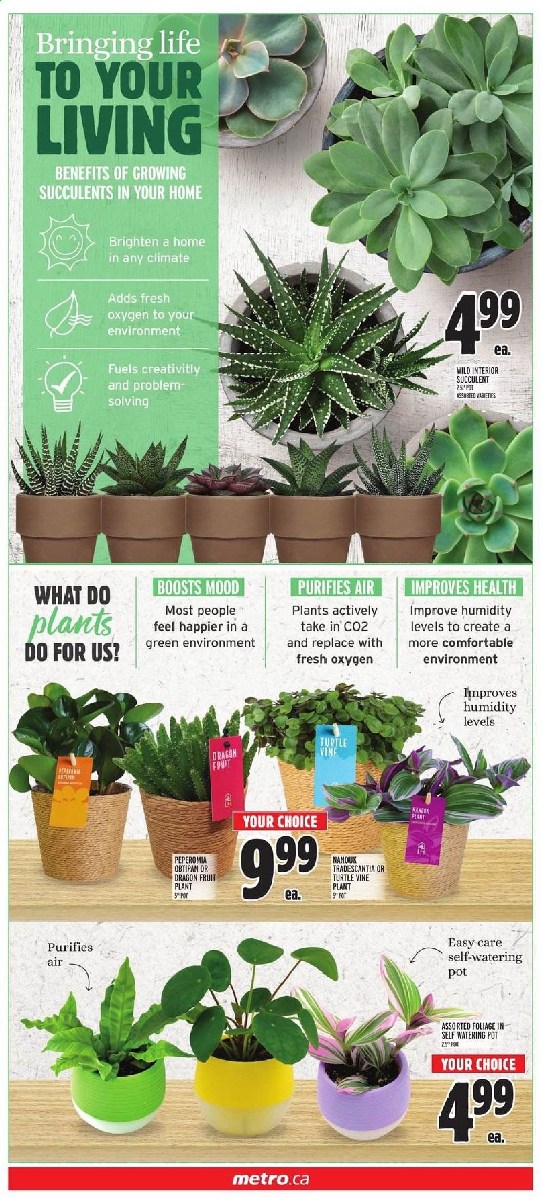 Metro flyer - January 14, 2021 - January 20, 2021. Page 3