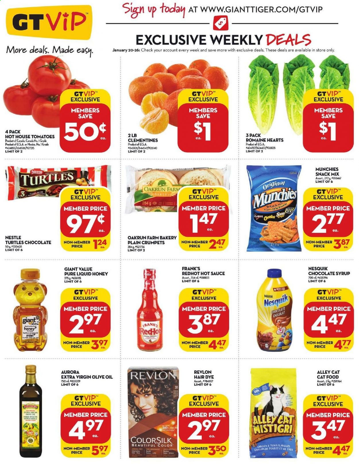 Giant Tiger flyer - January 20, 2021 - January 26, 2021. Page 3