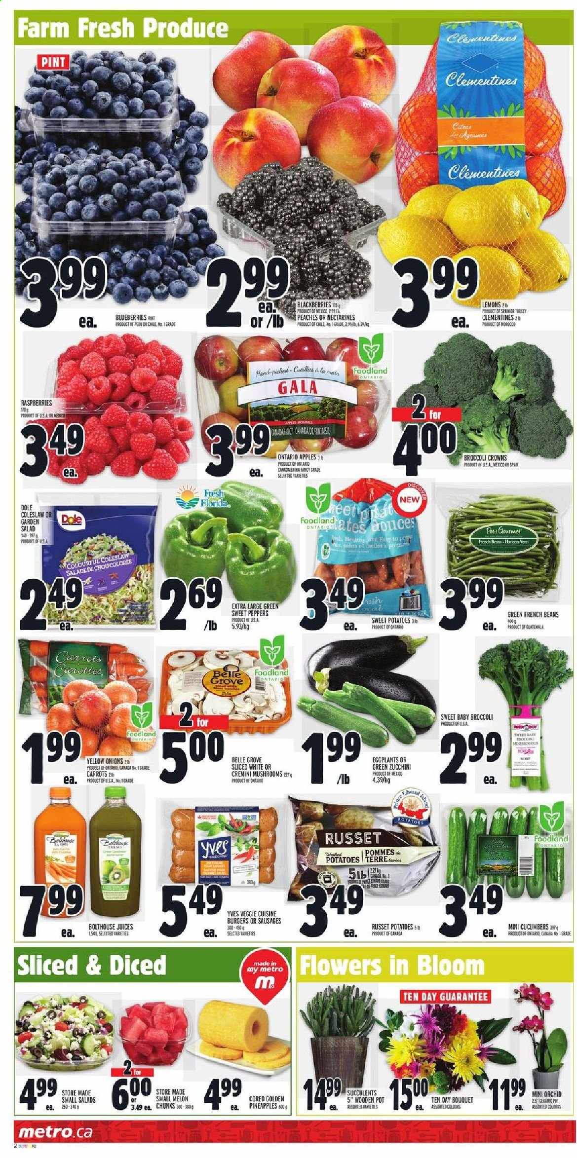 Metro flyer - January 21, 2021 - January 27, 2021. Page 2