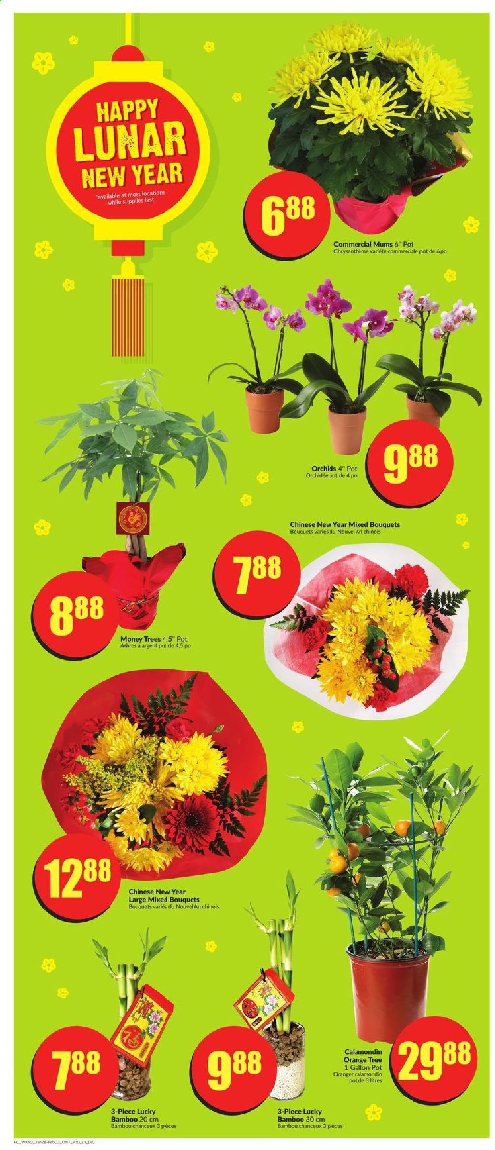 FreshCo. flyer - January 28, 2021 - February 03, 2021. Page 11