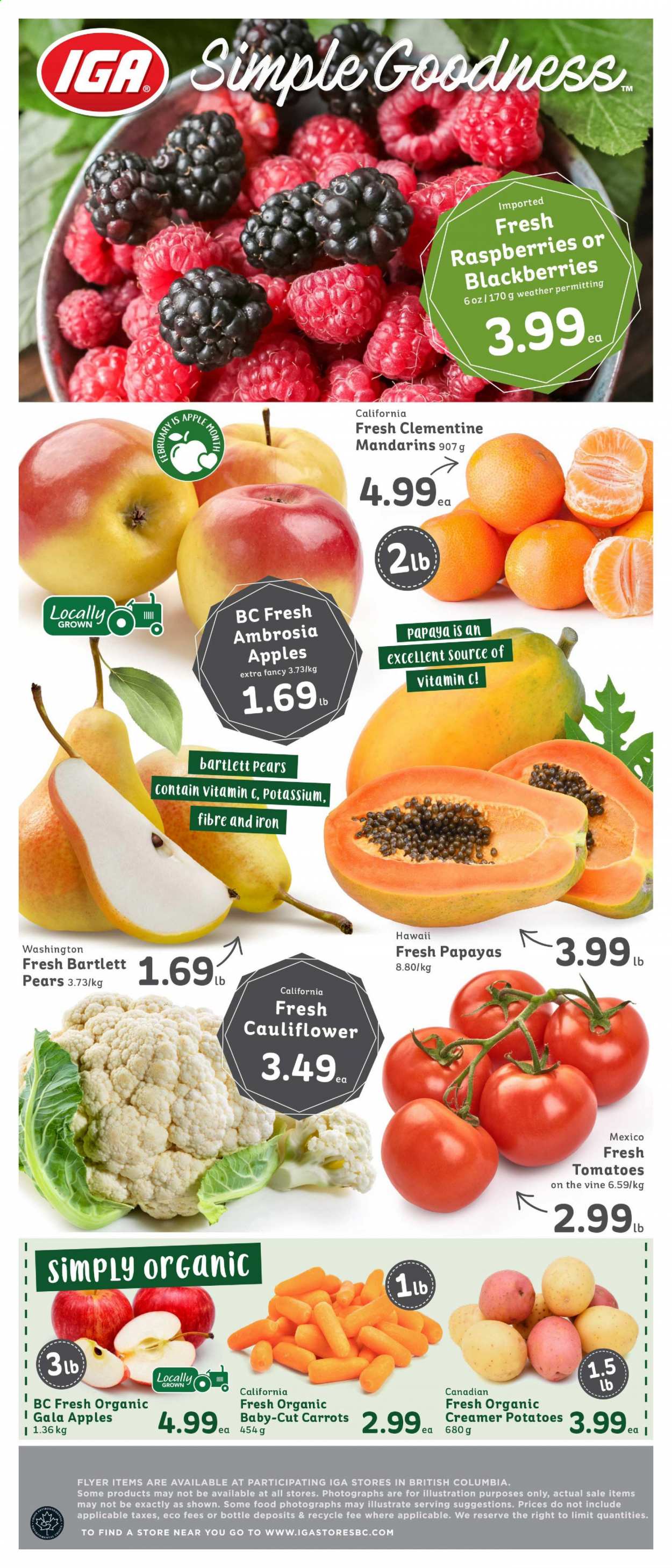 IGA Simple Goodness flyer - January 29, 2021 - February 04, 2021. Page 6