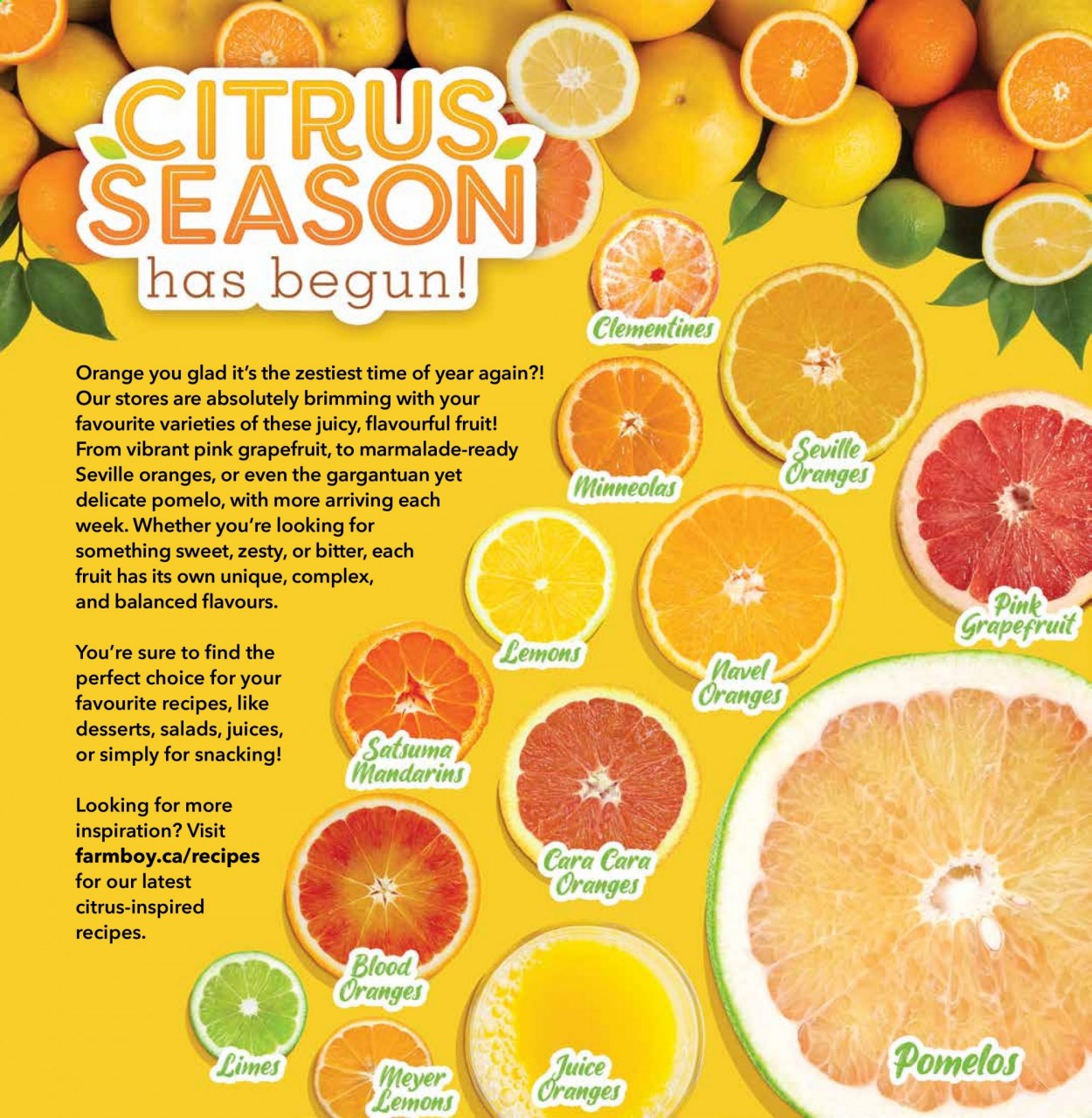 Farm Boy flyer - February 04, 2021 - February 10, 2021. Page 6
