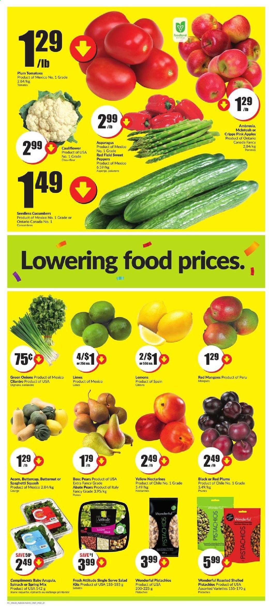 thumbnail - FreshCo. Flyer - February 04, 2021 - February 10, 2021 - Sales products - asparagus, butternut squash, cauliflower, cucumber, tomatoes, salad, green onion, apples, limes, mango, nectarines, plums, pears, red plums, lemons, cilantro, prunes, dried fruit, pistachios. Page 2.