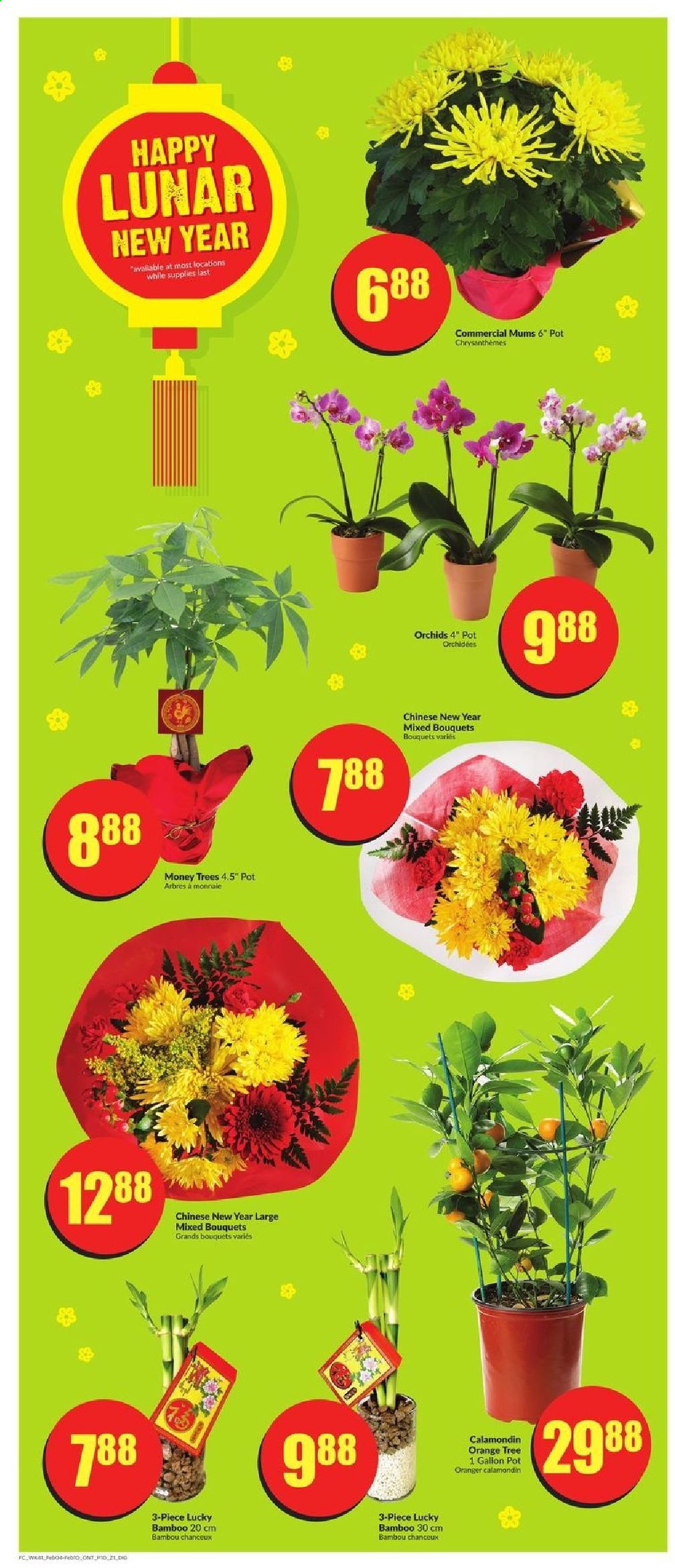 FreshCo. flyer - February 04, 2021 - February 10, 2021. Page 10