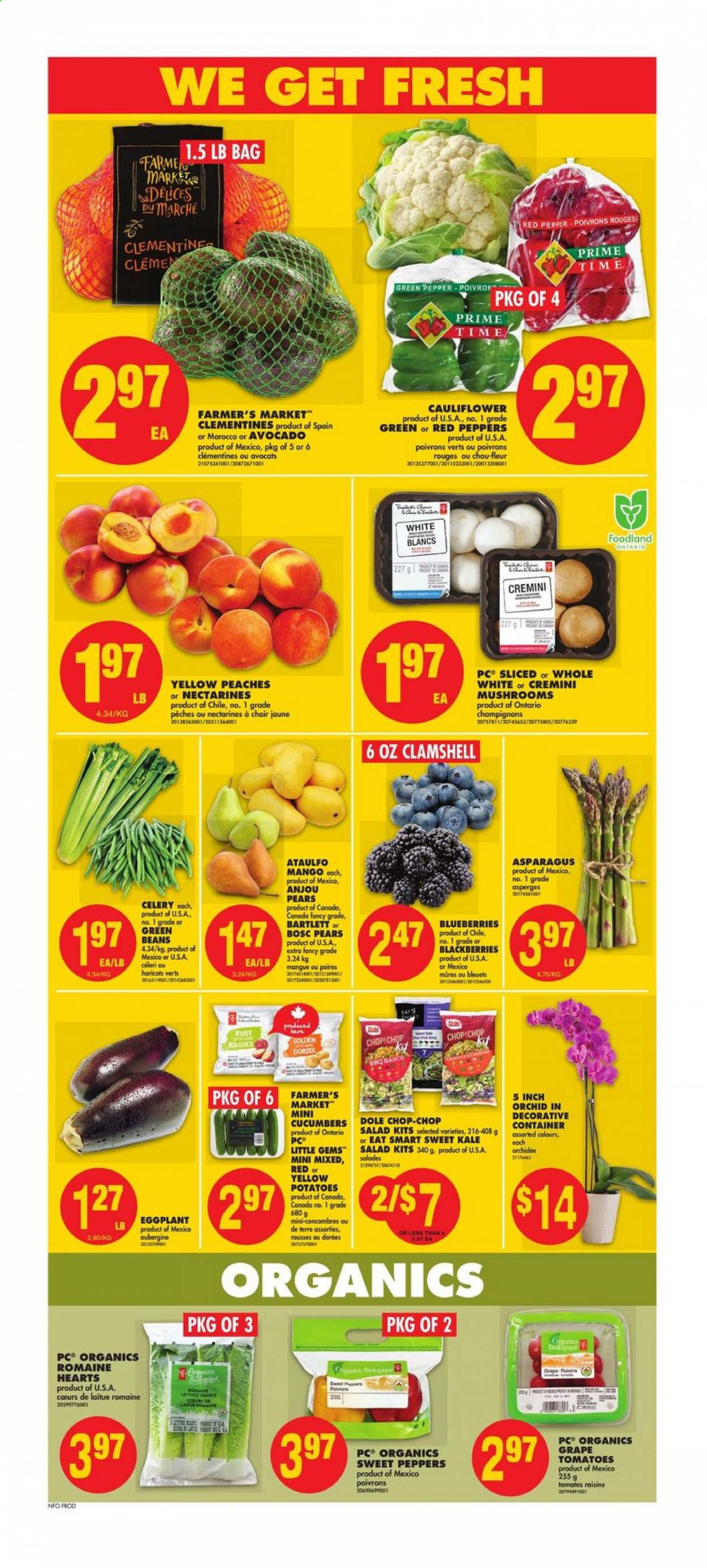 No Frills flyer - February 04, 2021 - February 10, 2021. Page 3