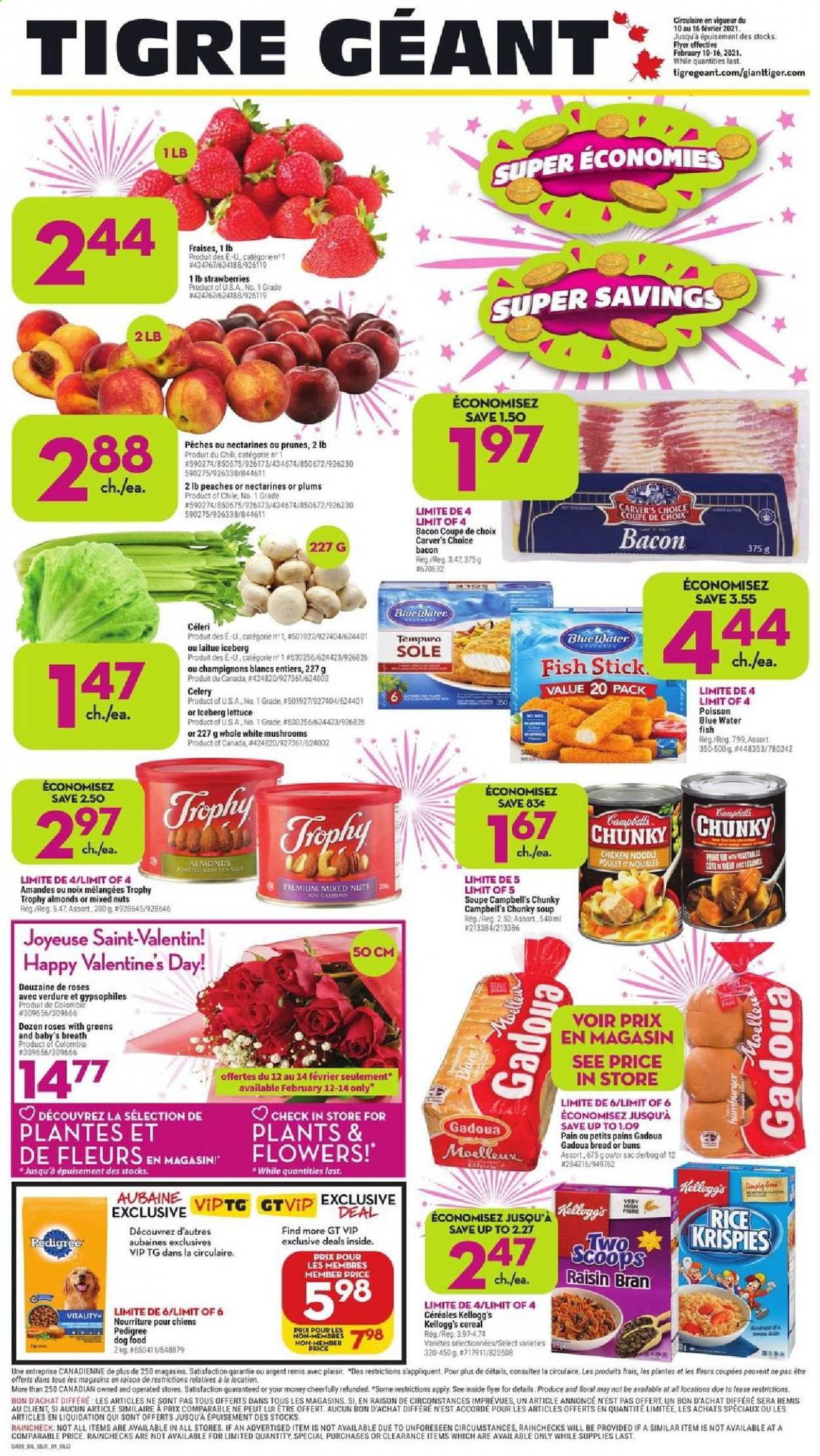 thumbnail - Giant Tiger Flyer - February 10, 2021 - February 16, 2021 - Sales products - mushrooms, bread, buns, celery, lettuce, nectarines, plums, peaches, fish, fish fingers, fish sticks, Campbell's, soup, noodles, bacon, Kellogg's, salt, cereals, Rice Krispies, Raisin Bran, almonds, prunes, mixed nuts, animal food, dog food, Pedigree, trophy cup, rose. Page 1.