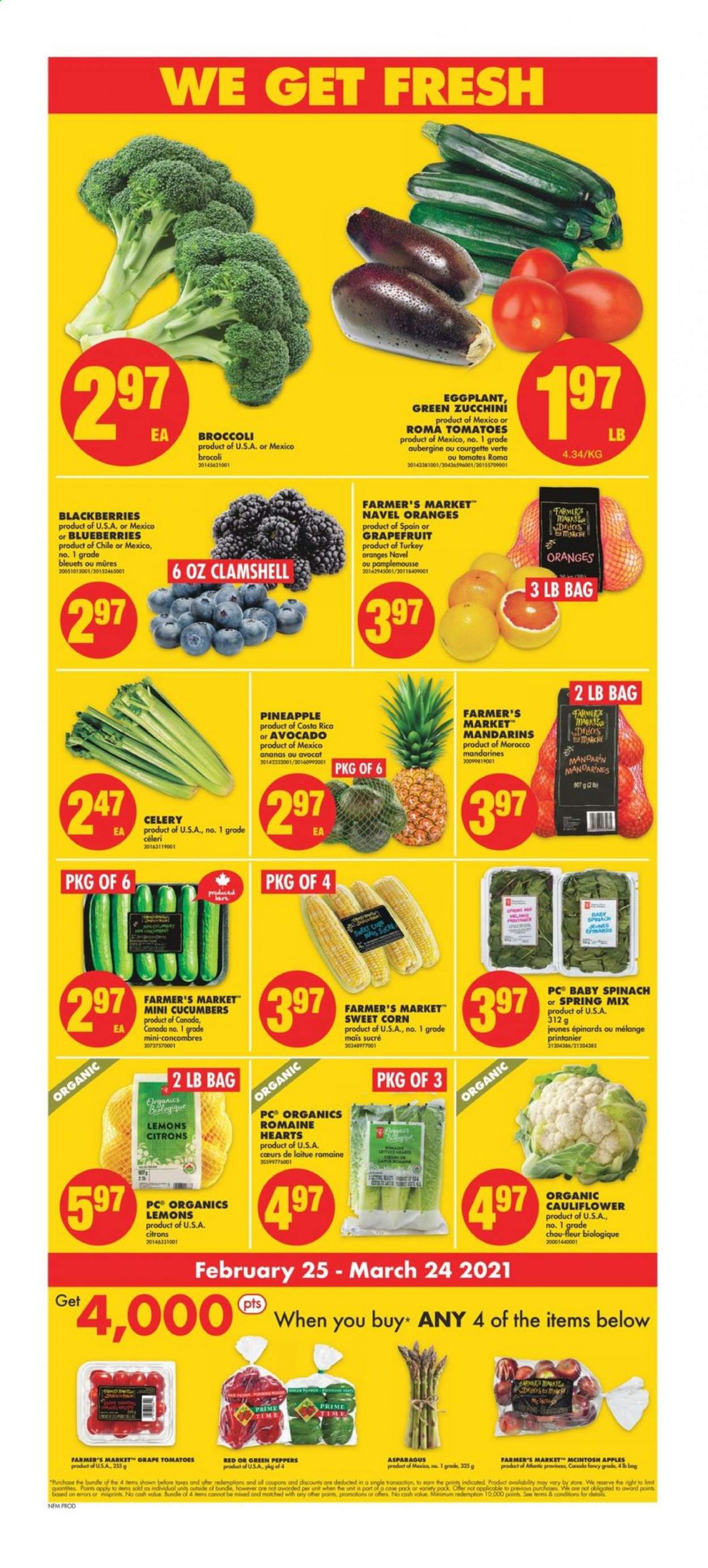 No Frills flyer - February 25, 2021 - March 03, 2021. Page 3