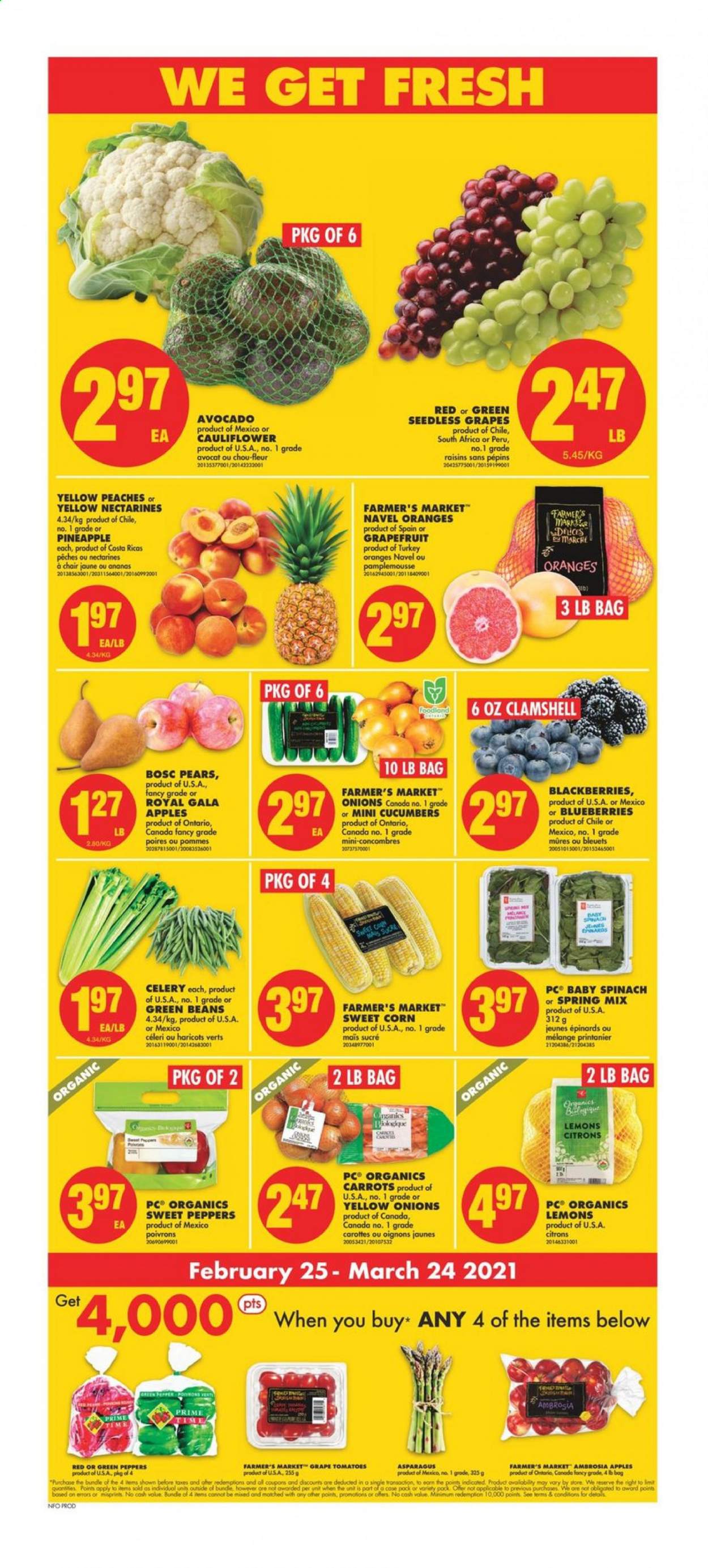 thumbnail - No Frills Flyer - February 25, 2021 - March 03, 2021 - Sales products - asparagus, beans, carrots, cauliflower, celery, corn, cucumber, green beans, sweet peppers, tomatoes, onion, peppers, sweet corn, apples, avocado, blackberries, blueberries, Gala, grapefruits, nectarines, seedless grapes, pears, lemons, peaches, navel oranges, dried fruit, chair, raisins. Page 3.