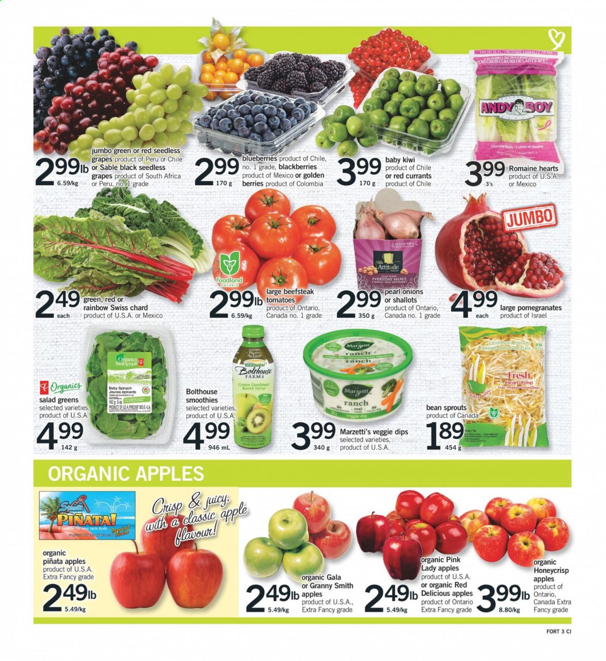 thumbnail - Fortinos Flyer - February 25, 2021 - March 03, 2021 - Sales products - shallots, tomatoes, onion, salad, bean sprouts, salad greens, apples, blackberries, blueberries, Gala, grapes, seedless grapes, pomegranate, Granny Smith, Pink Lady, dip, smoothie, chard, kiwi. Page 3.