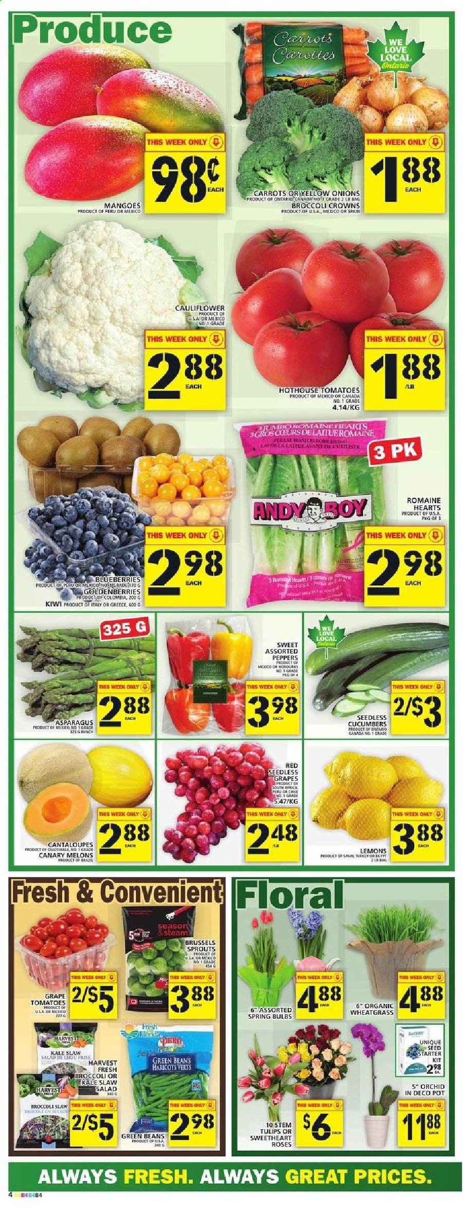 Food Basics flyer - March 04, 2021 - March 10, 2021. Page 4