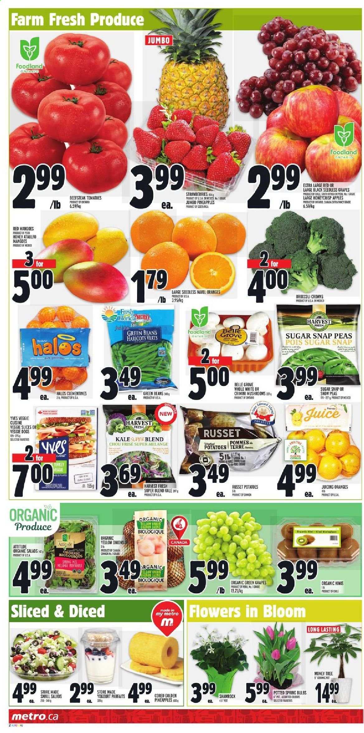 thumbnail - Circulaire Metro - 04 Mars 2021 - 10 Mars 2021 - Produits soldés - pommes, oranges, haricots, chou, kiwi, clémentines. Page 2.