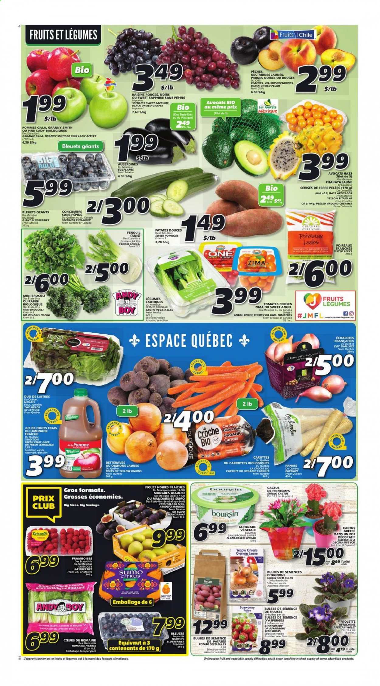 IGA flyer - March 11, 2021 - March 17, 2021. Page 3