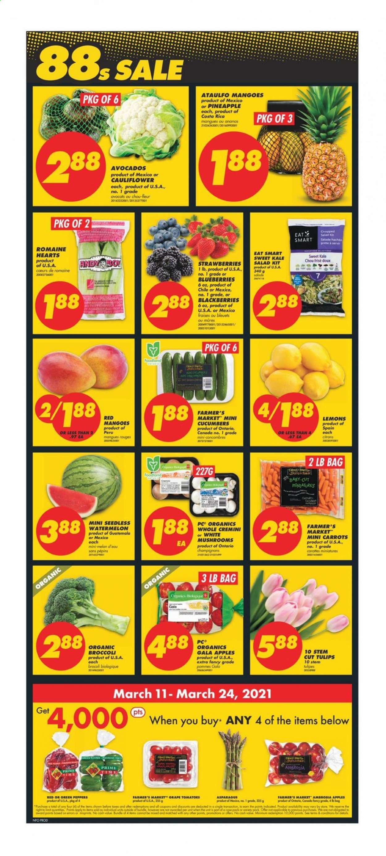 thumbnail - No Frills Flyer - March 11, 2021 - March 17, 2021 - Sales products - mushrooms, asparagus, broccoli, carrots, cauliflower, cucumber, tomatoes, kale, salad, peppers, apples, avocado, blackberries, Gala, strawberries, watermelon, melons. Page 3.