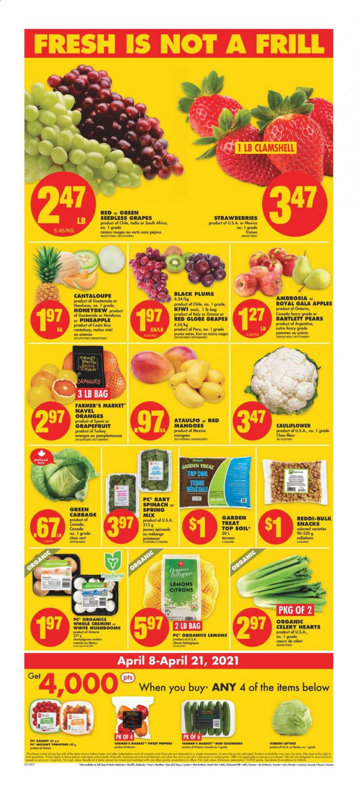 thumbnail - No Frills Flyer - April 08, 2021 - April 14, 2021 - Sales products - mushrooms, cantaloupe, cauliflower, celery, cucumber, sweet peppers, tomatoes, peppers, sleeved celery, apples, Bartlett pears, Gala, grapefruits, grapes, Red Globe, seedless grapes, strawberries, honeydew, plums, pears, melons, lemons, black plums, navel oranges, snack, prunes, dried fruit, kiwi, raisins. Page 3.