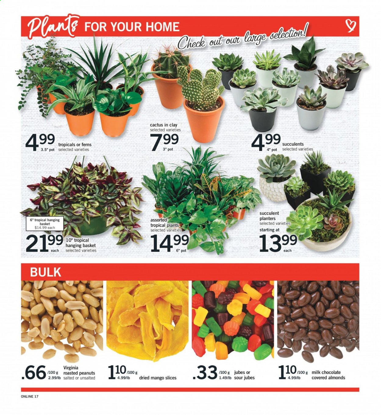 thumbnail - Fortinos Flyer - April 08, 2021 - April 14, 2021 - Sales products - mango, milk chocolate, almonds, roasted peanuts, peanuts, dried fruit, Planters, pot, cactus, succulent. Page 17.
