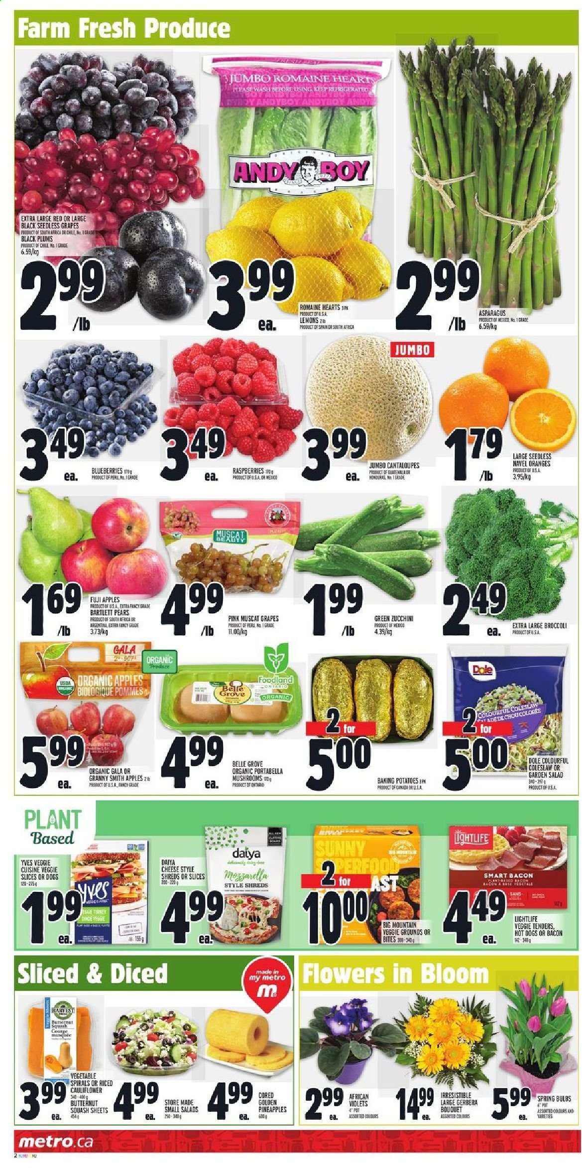 thumbnail - Metro Flyer - April 08, 2021 - April 14, 2021 - Sales products - mushrooms, asparagus, broccoli, butternut squash, cantaloupe, zucchini, potatoes, salad, Dole, apples, Bartlett pears, blueberries, Gala, grapes, seedless grapes, pineapple, plums, pears, Fuji apple, lemons, black plums, Granny Smith, navel oranges, coleslaw, hot dog, bacon, cheese, brie, bouquet, gerbera. Page 2.