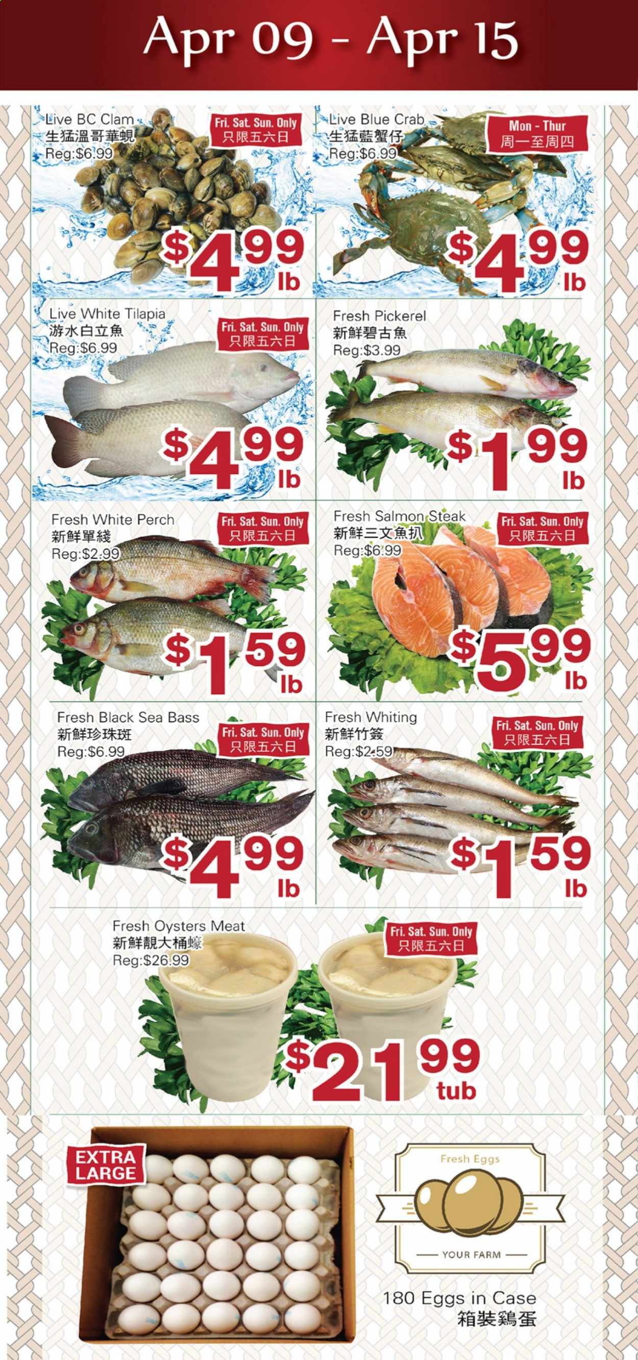 thumbnail - First Choice Supermarket Flyer - April 09, 2021 - April 15, 2021 - Sales products - clams, salmon, sea bass, tilapia, perch, oysters, crab, whiting, walleye, eggs, steak. Page 1.