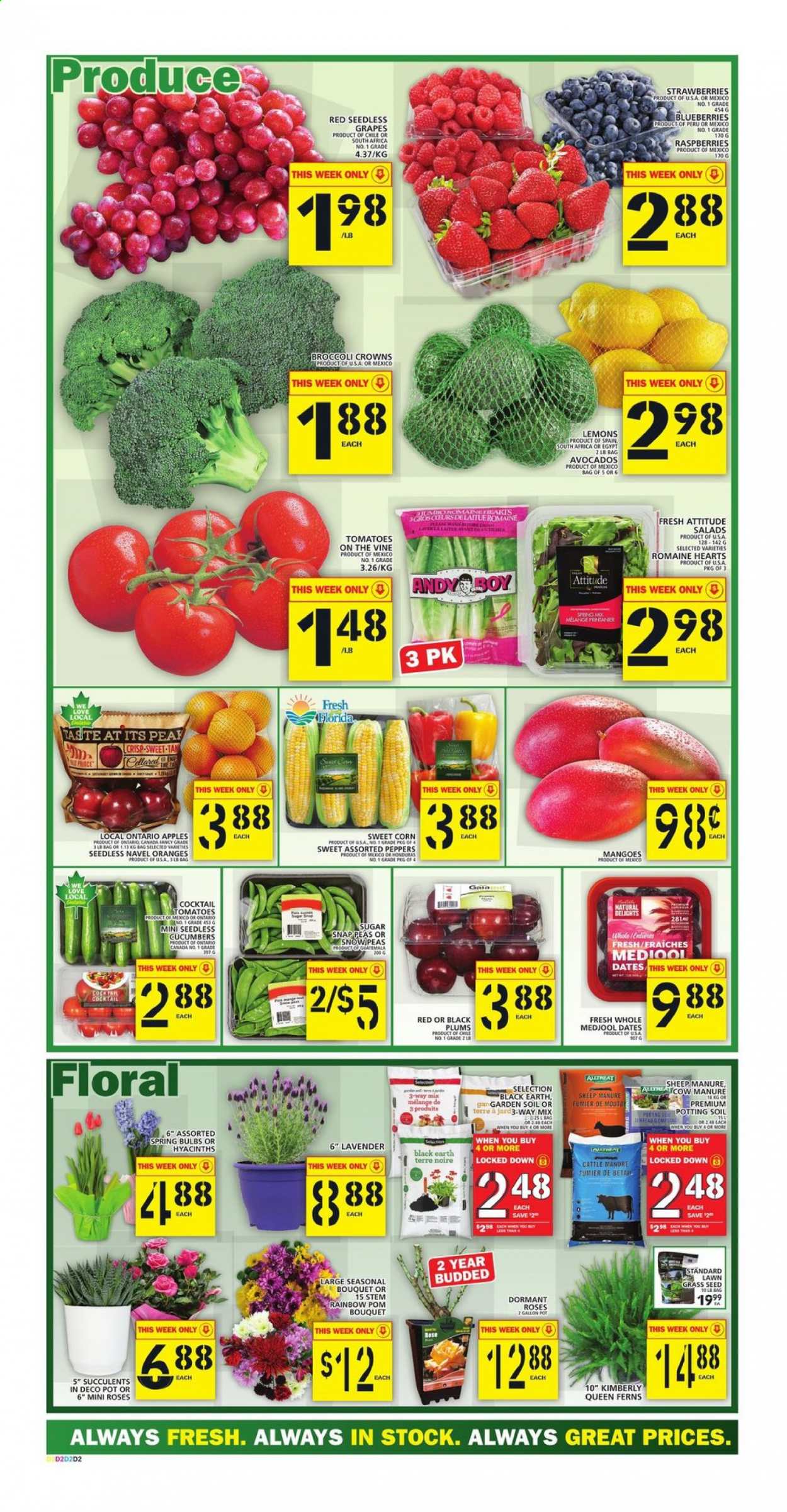 Food Basics flyer - April 15, 2021 - April 21, 2021. Page 2
