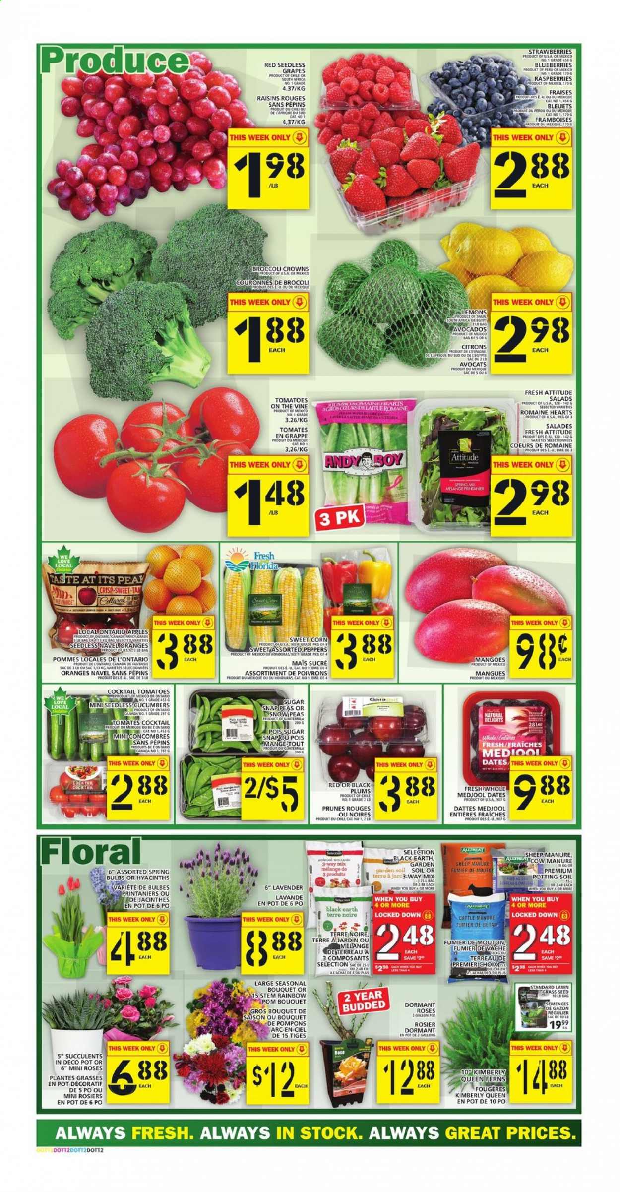 Food Basics flyer - April 15, 2021 - April 21, 2021. Page 2