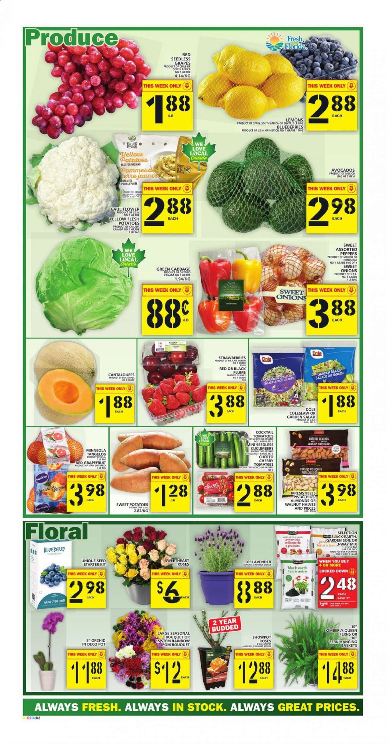 Food Basics flyer - April 22, 2021 - April 28, 2021. Page 2