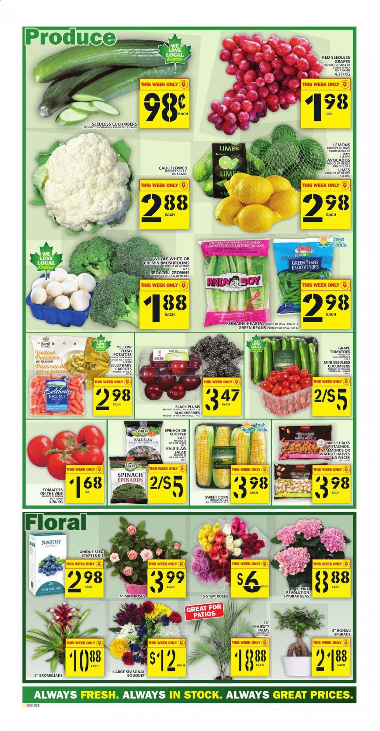 Food Basics flyer - April 29, 2021 - May 05, 2021. Page 2