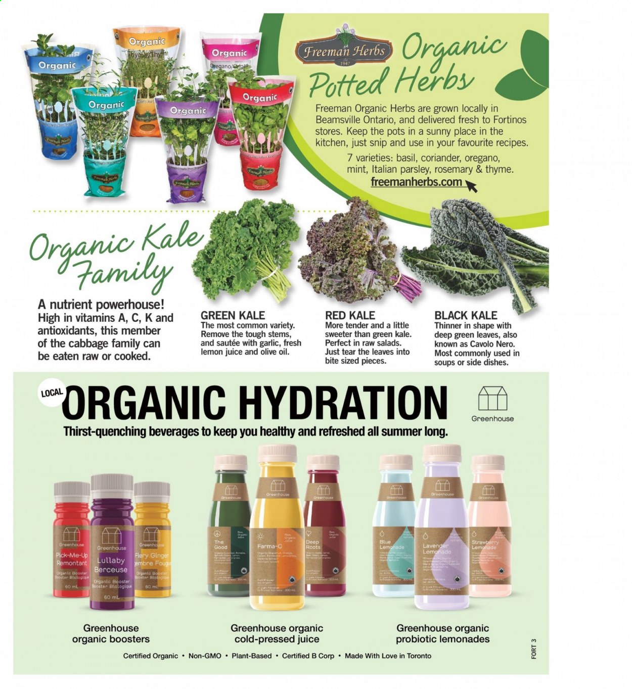 Fortinos flyer - May 13, 2021 - May 19, 2021. Page 12