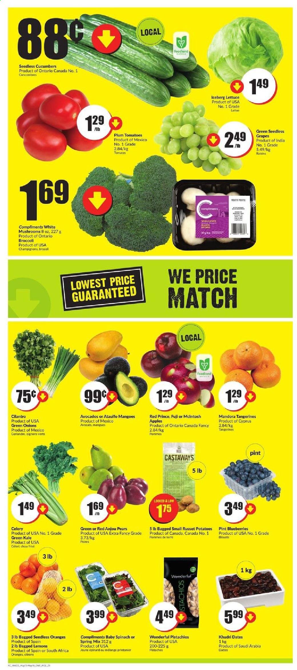 thumbnail - FreshCo. Flyer - May 13, 2021 - May 19, 2021 - Sales products - mushrooms, broccoli, celery, cucumber, russet potatoes, tomatoes, kale, potatoes, lettuce, green onion, apples, avocado, grapes, mango, seedless grapes, tangerines, pears, lemons, cilantro, dried fruit, pistachios, raisins. Page 2.