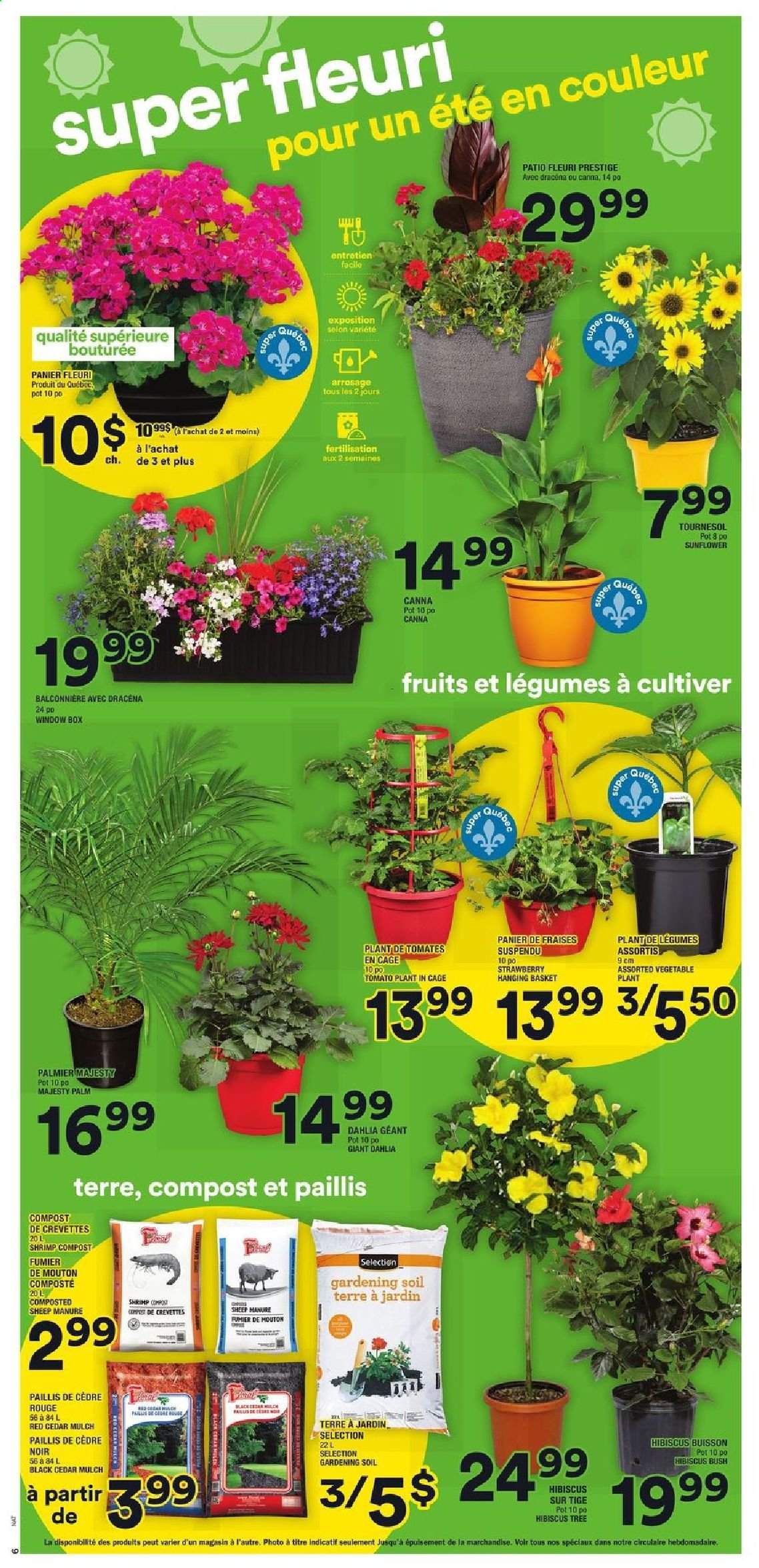 Super C flyer - May 13, 2021 - May 19, 2021. Page 10