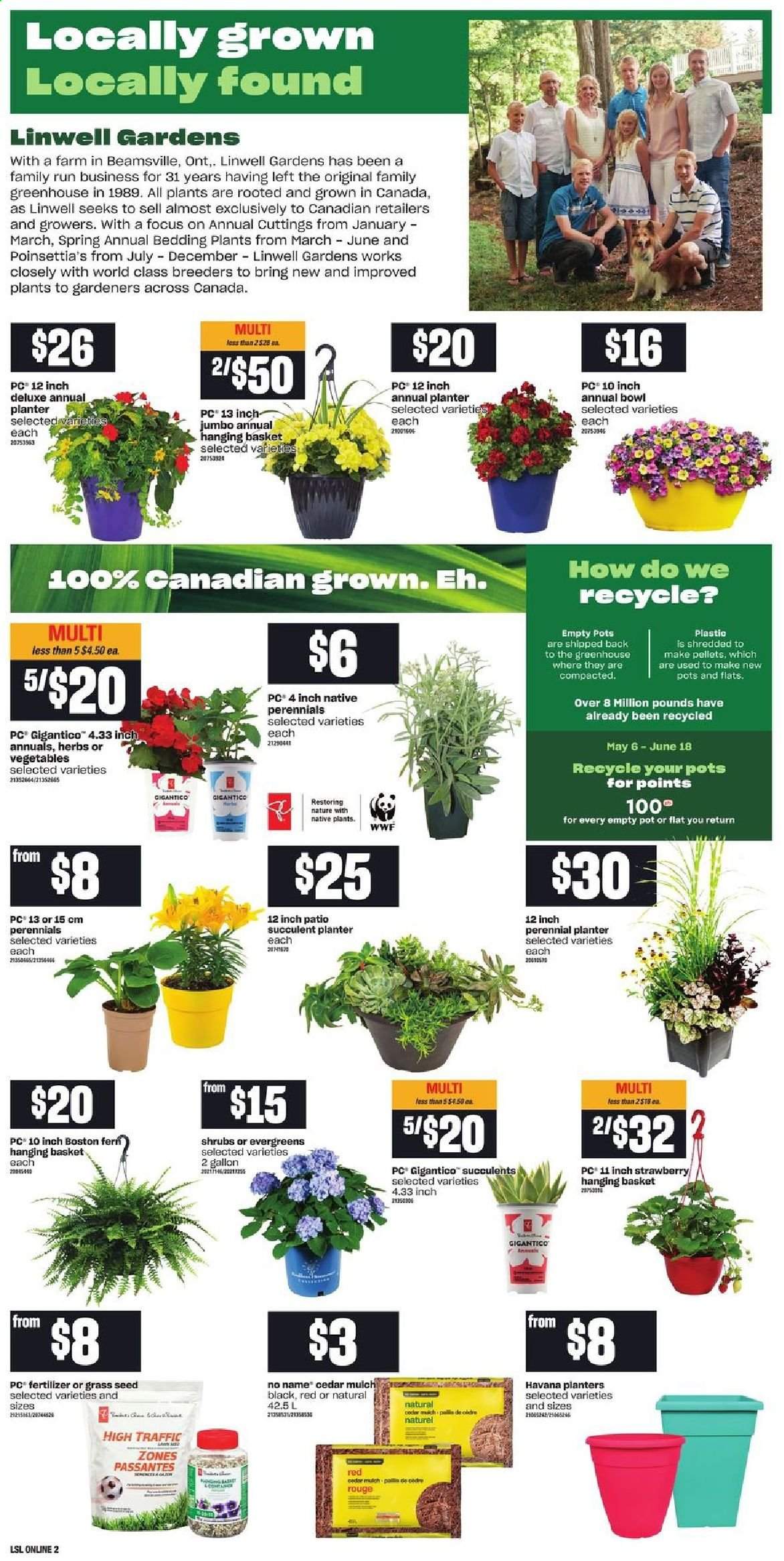 Loblaws flyer - May 13, 2021 - May 19, 2021. Page 6