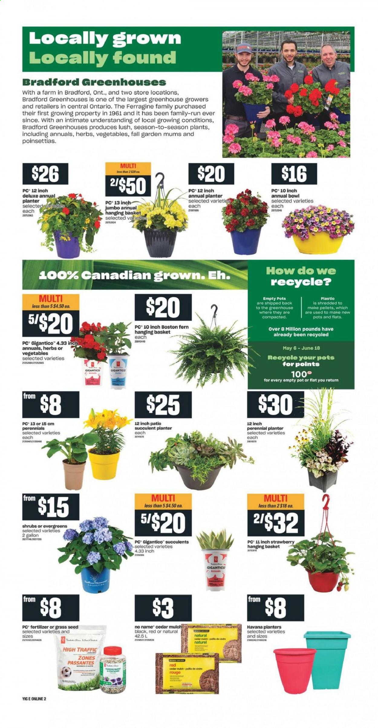 Independent flyer - May 13, 2021 - May 19, 2021. Page 6
