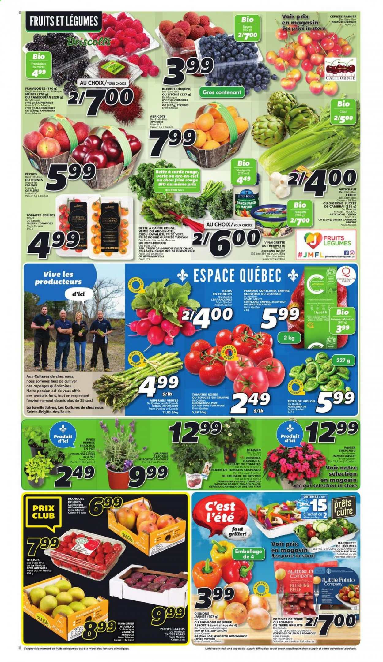 thumbnail - IGA Flyer - May 20, 2021 - May 26, 2021 - Sales products - artichoke, asparagus, broccoli, celery, radishes, sweet peppers, kale, potatoes, onion, peppers, apples, blackberries, mango, strawberries, plums, cherries, pears, apricots, peaches, dip, Merci, vinaigrette dressing, dressing, prunes, dried fruit. Page 3.