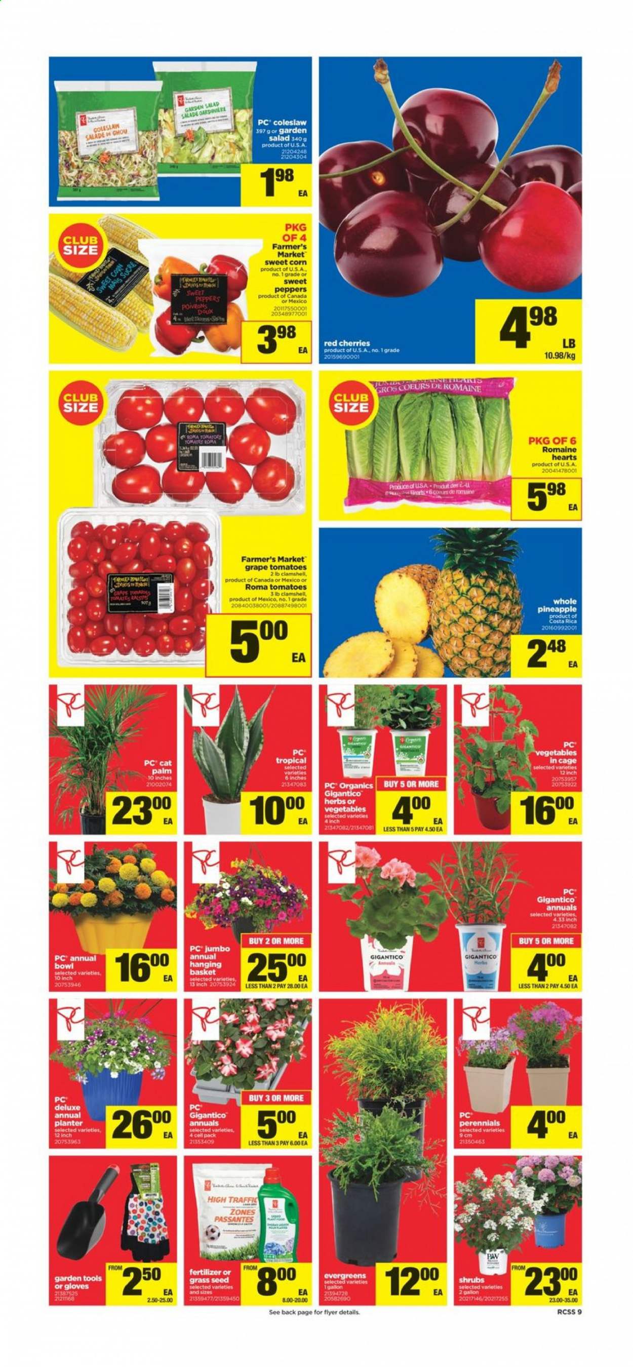 Real Canadian Superstore flyer - May 20, 2021 - May 26, 2021. Page 9