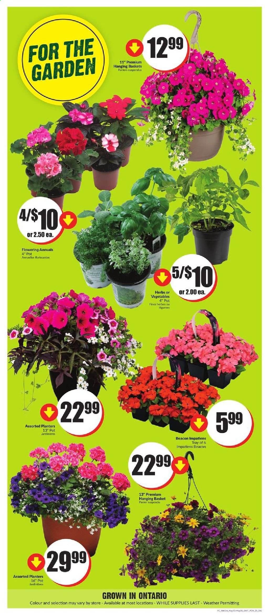 Chalo! FreshCo. flyer - May 27, 2021 - June 02, 2021. Page 10