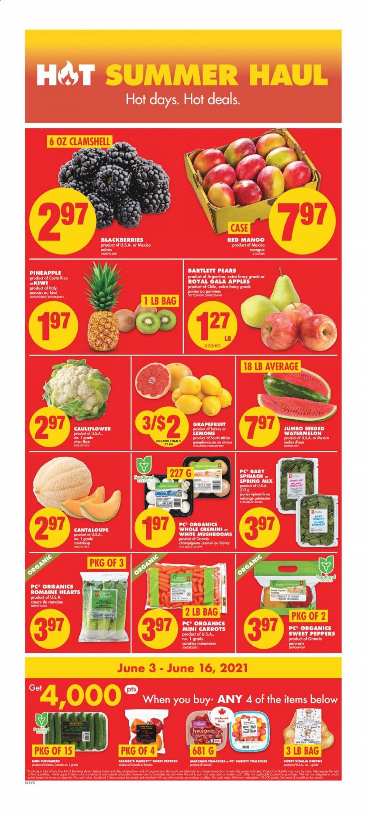 thumbnail - No Frills Flyer - June 03, 2021 - June 09, 2021 - Sales products - mushrooms, cantaloupe, carrots, cucumber, sweet peppers, tomatoes, onion, peppers, apples, Bartlett pears, blackberries, Gala, grapefruits, watermelon, pineapple, pears, melons, lemons, dip, kiwi. Page 3.