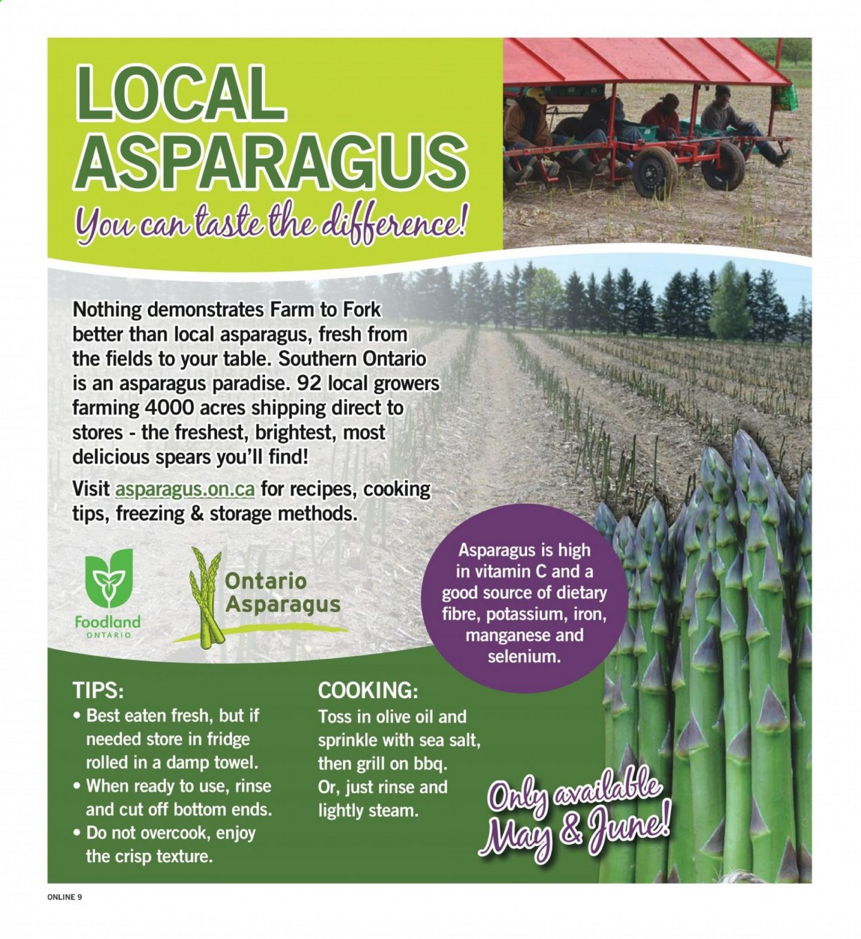 Fortinos flyer - June 03, 2021 - June 09, 2021. Page 21