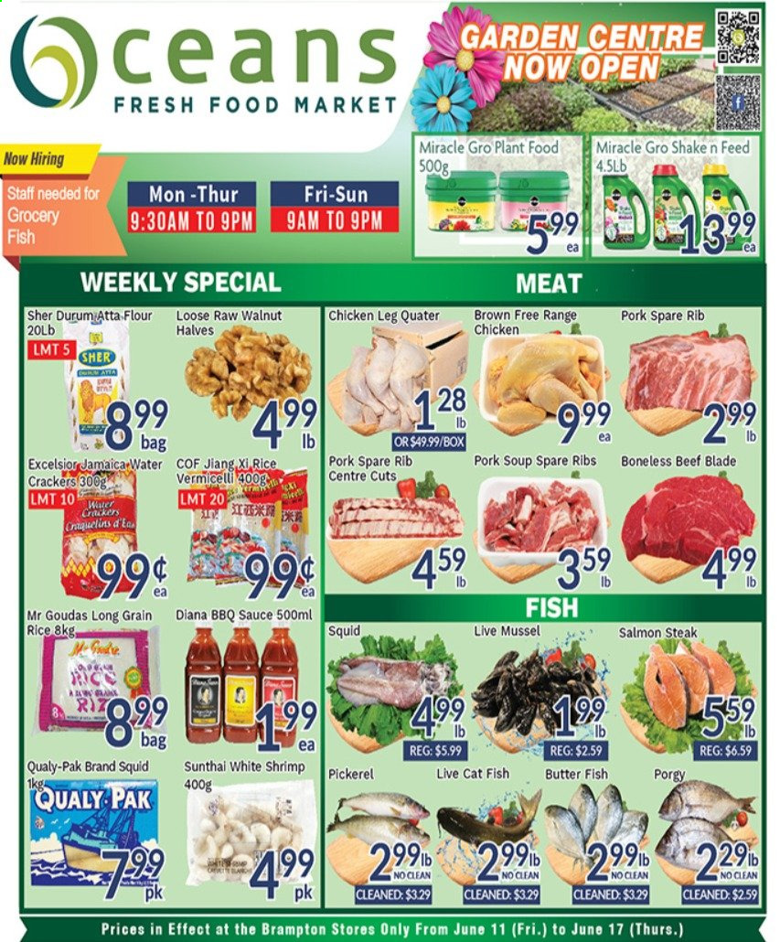 thumbnail - Oceans Flyer - June 11, 2021 - June 17, 2021 - Sales products - mussels, salmon, squid, fish, shrimps, walleye, soup, sauce, shake, butter, crackers, rice crackers, flour, long grain rice, BBQ sauce, walnuts, chicken legs, pork spare ribs, steak. Page 1.