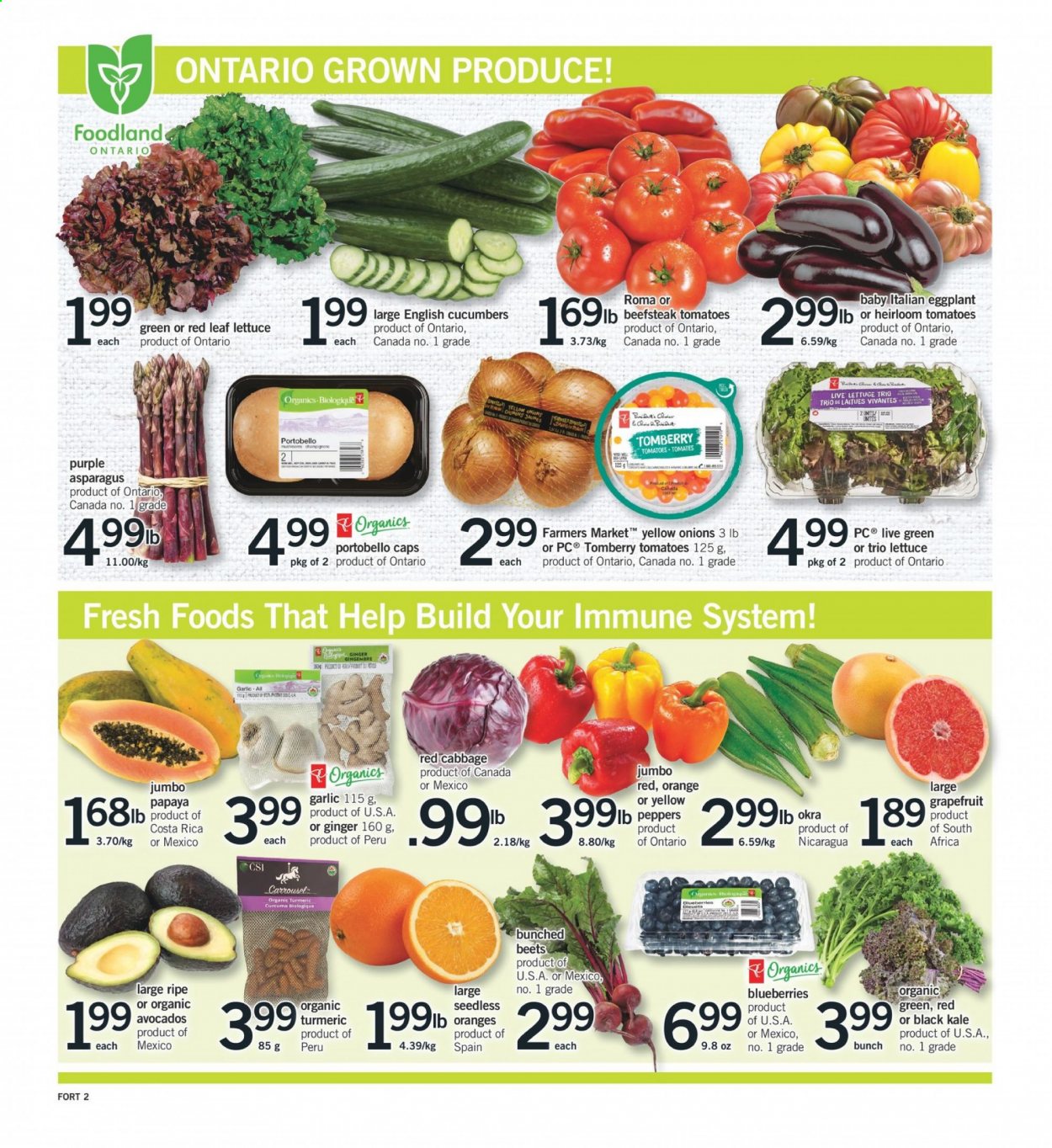 thumbnail - Fortinos Flyer - June 17, 2021 - June 23, 2021 - Sales products - portobello mushrooms, asparagus, cabbage, cucumber, garlic, ginger, tomatoes, kale, okra, onion, lettuce, eggplant, avocado, grapefruits, turmeric, cap. Page 3.