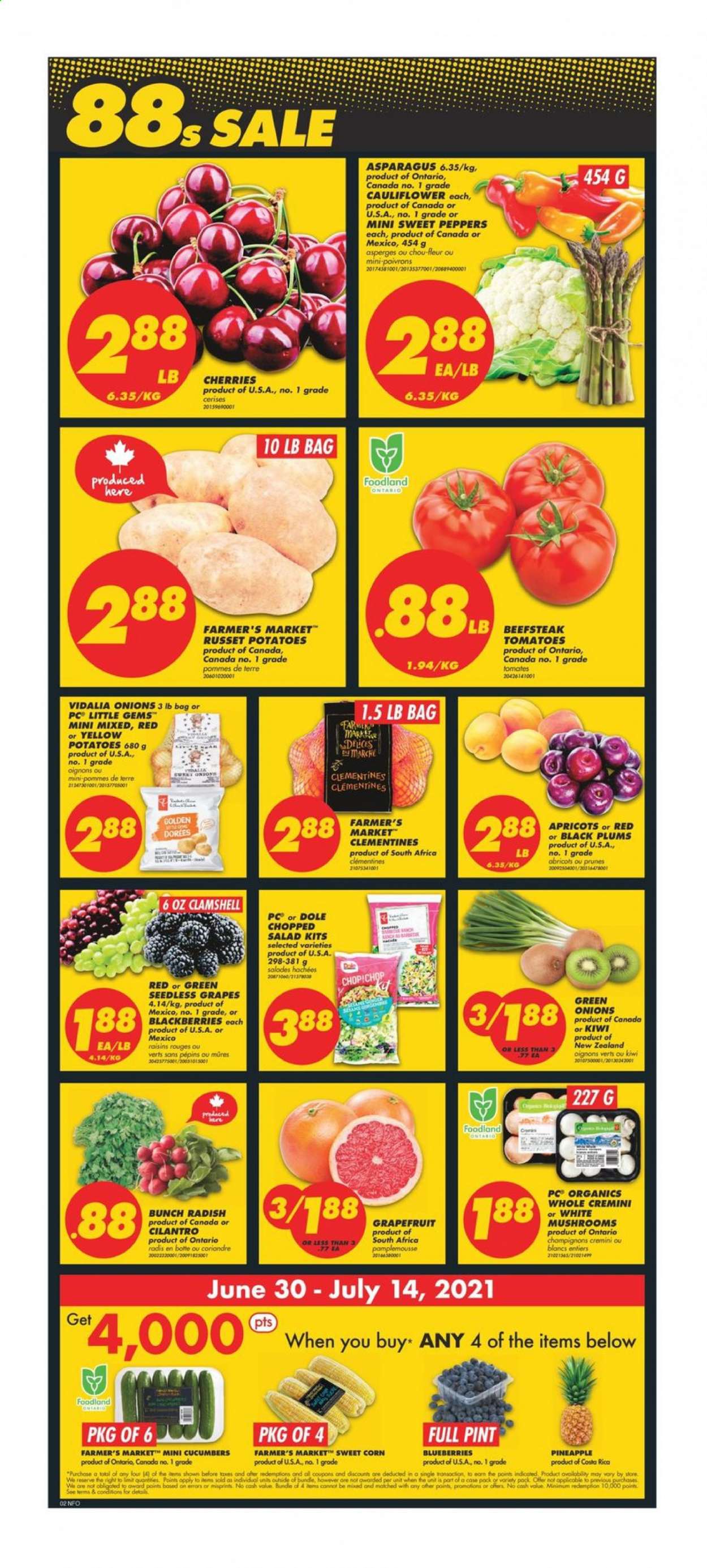 thumbnail - No Frills Flyer - June 30, 2021 - July 07, 2021 - Sales products - mushrooms, asparagus, cauliflower, corn, cucumber, radishes, russet potatoes, sweet peppers, tomatoes, potatoes, salad, Dole, peppers, sweet corn, green onion, chopped salad, blackberries, blueberries, clementines, grapefruits, grapes, seedless grapes, pineapple, plums, cherries, apricots, black plums, cilantro, prunes, dried fruit, kiwi, raisins. Page 3.