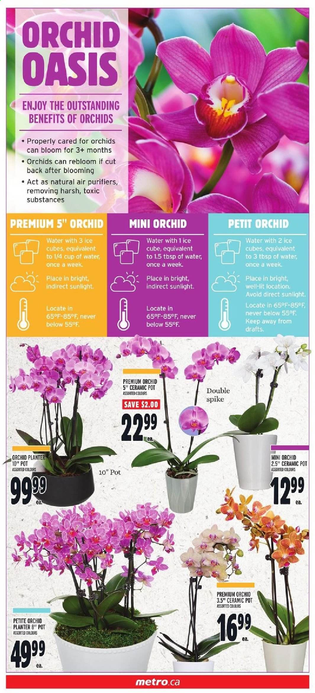 Metro flyer - July 08, 2021 - July 14, 2021. Page 3