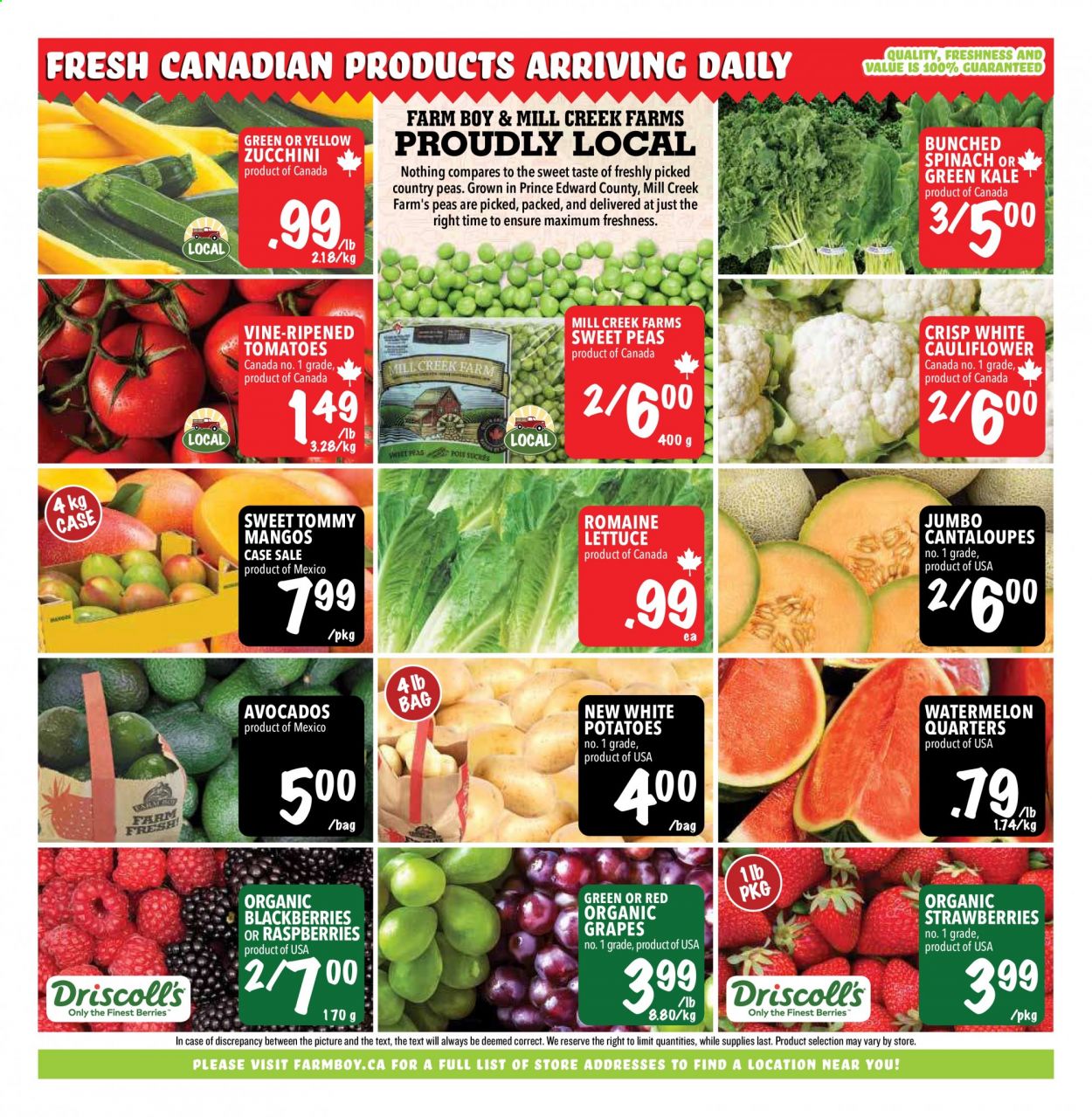 Farm Boy flyer - July 15, 2021 - July 21, 2021. Page 7