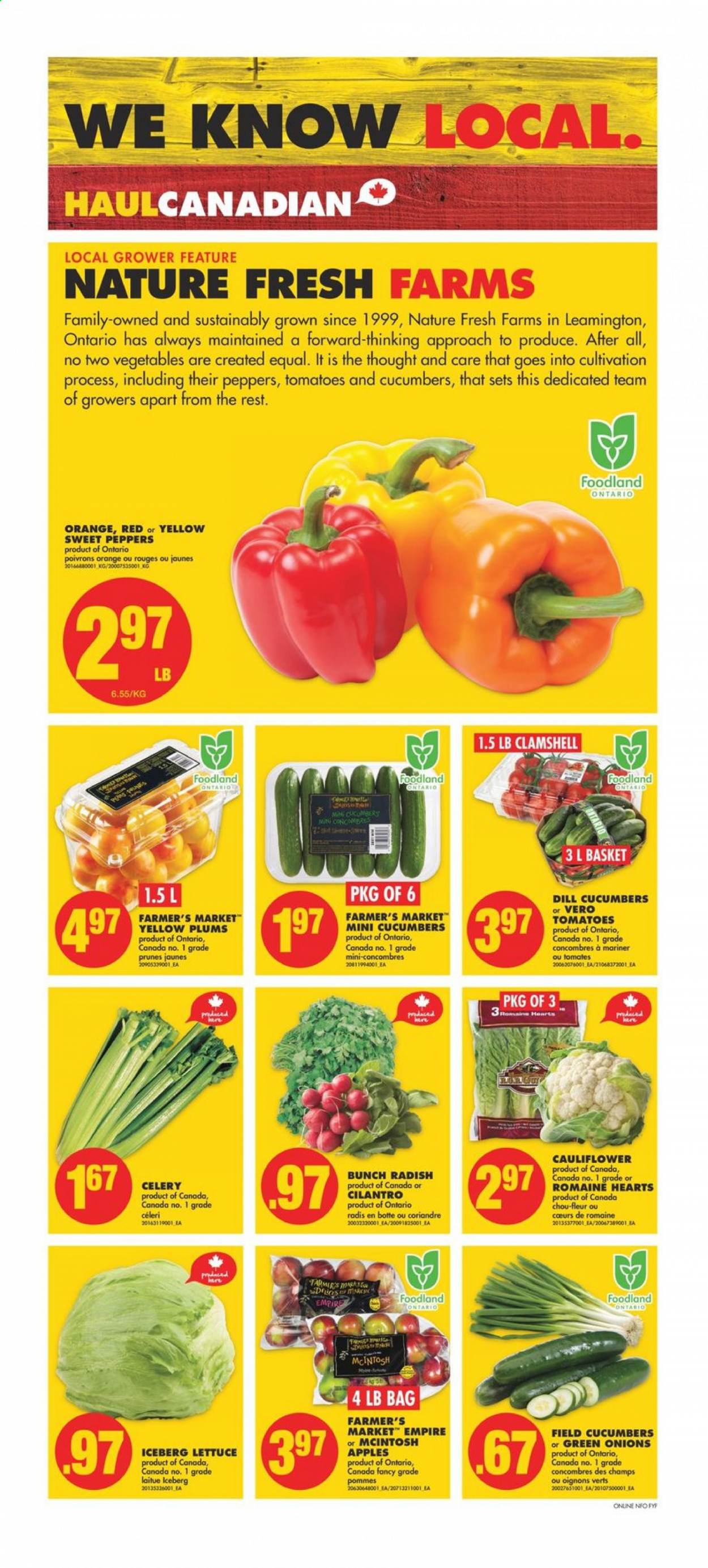 No Frills flyer - July 22, 2021 - July 28, 2021. Page 2